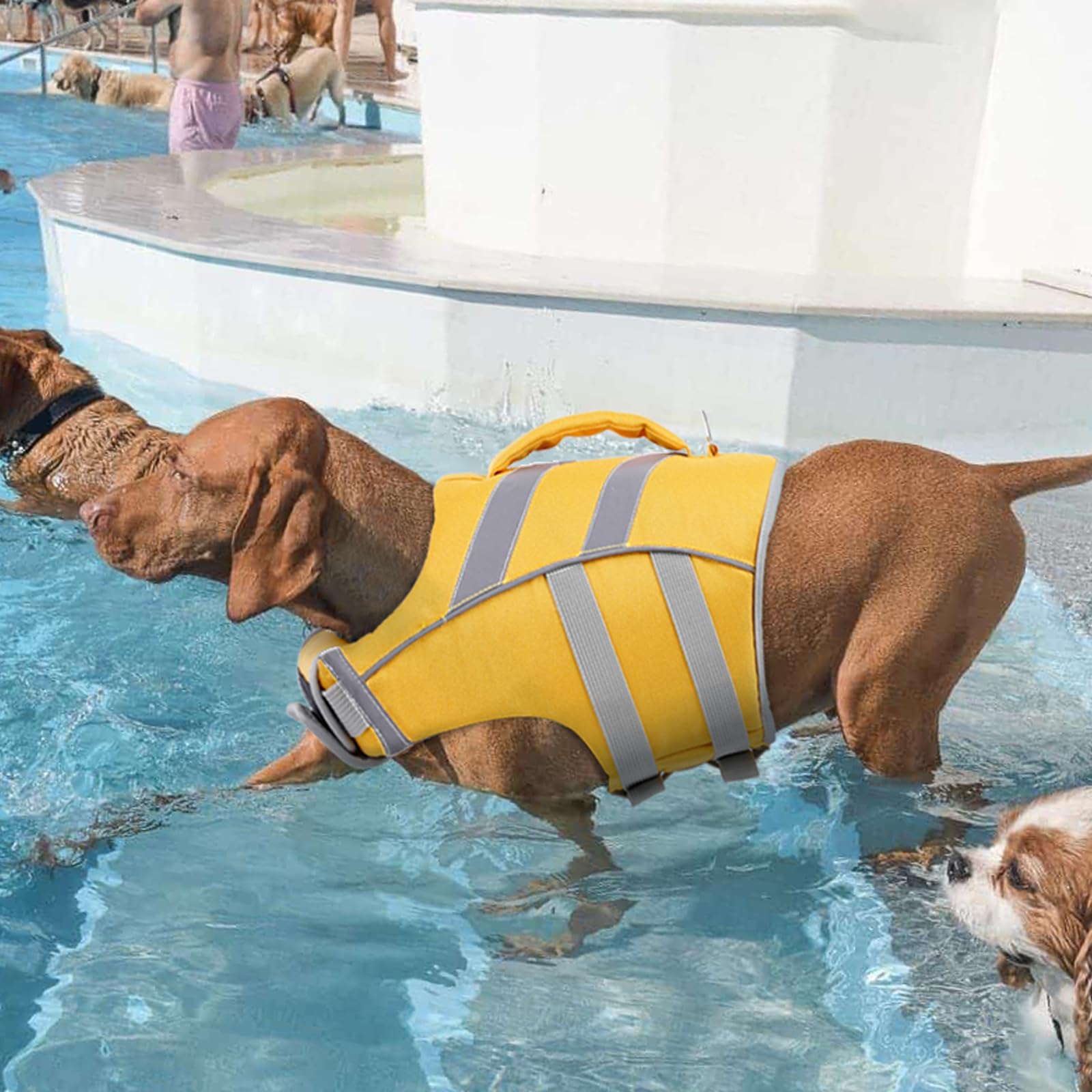 Kuoser Dog Life Jacket with Reflective Stripes, Dog Life Vest for Swimming Boating, Adjustable Pet Lifejackets with High Flotation, Doggie Swimsuit for Small Medium Large Dogs