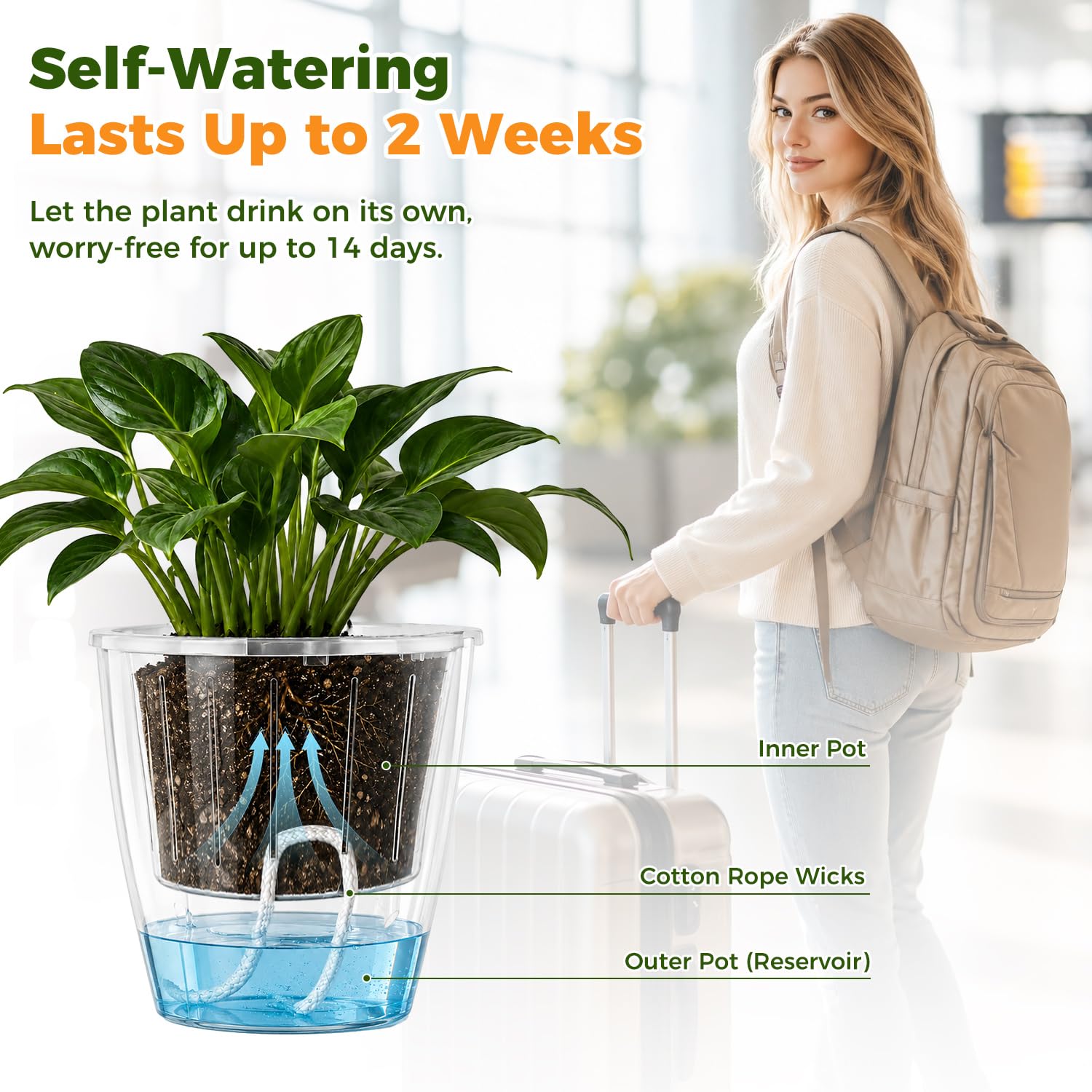 Self-Watering Pots for Indoor Plants, 16-Pack Self Watering Planter with Drainage Holes, Small African Violet Pots with Water Indicator, 10-Pack 5''/6-Pack 6.7'' Orchid Pot, Black