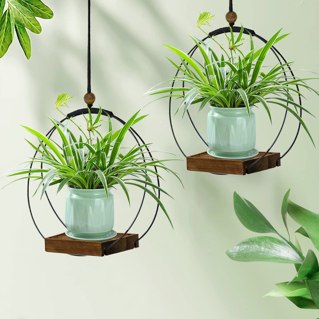 Hanging Planter for Indoor Plants, Black Plant Hanger Indoor with Sturdy Wood Base, Modern Boho Macrame Plant Hanger for 3-5.5 Inch Pot, Hanging Wall Ceiling Window Home Decor (Pots Not Included)