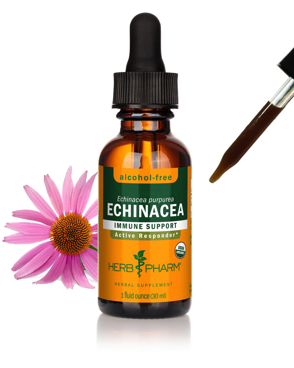 Herb Pharm Echinacea Alcohol-Free Extract: Immune System Support for All Seasons | Fast-Absorbing Echinacea Root Organic Supplement | Non-GMO, Vegan & Gluten-Free | Glycerite Liquid | 1 oz