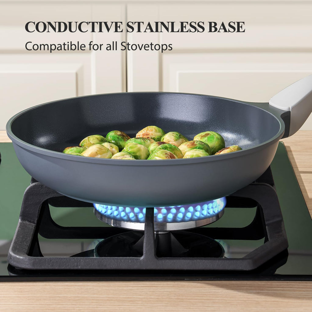 PRICUSIS Nonstick Frying Pan, 8/10/12 Inch Skillet with Stay Cool Handle, Fully Coated, Induction Compatible, 100% Dishwasher Safe, PFOA Free（10 Inch, Black Sesame）