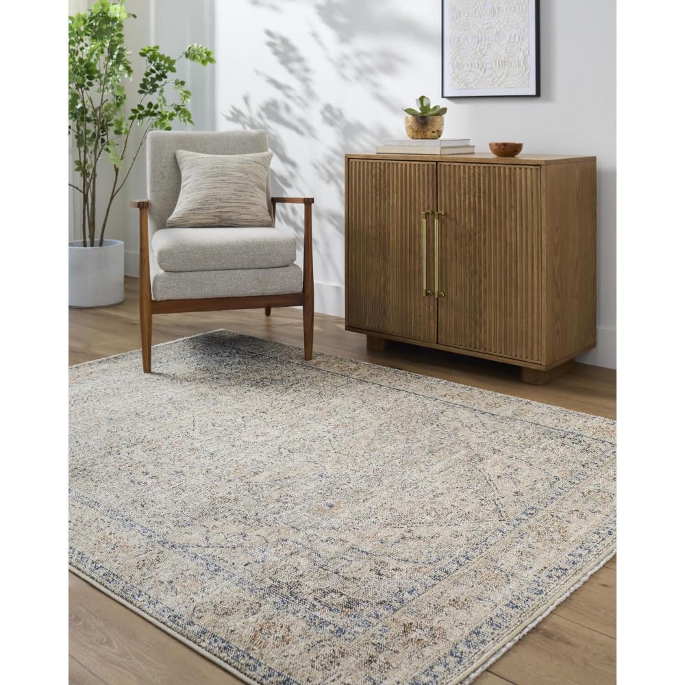 Livabliss x Galey Alix Maria Elena III Vintage Medallion Area Rug, 5'3" x 7' (5' x 7'), Brown