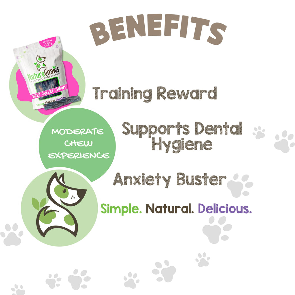 Nature Gnaws Beef Gullet Chews for Small Dogs 4-5" (20 Count) - Natural Beef Jerky Stick Dog Chew Treats - Rawhide Free