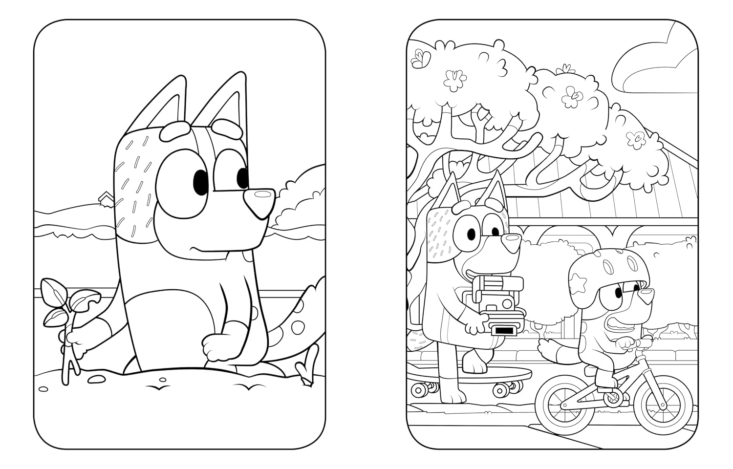 Bluey: Big Backyard: A Coloring Book