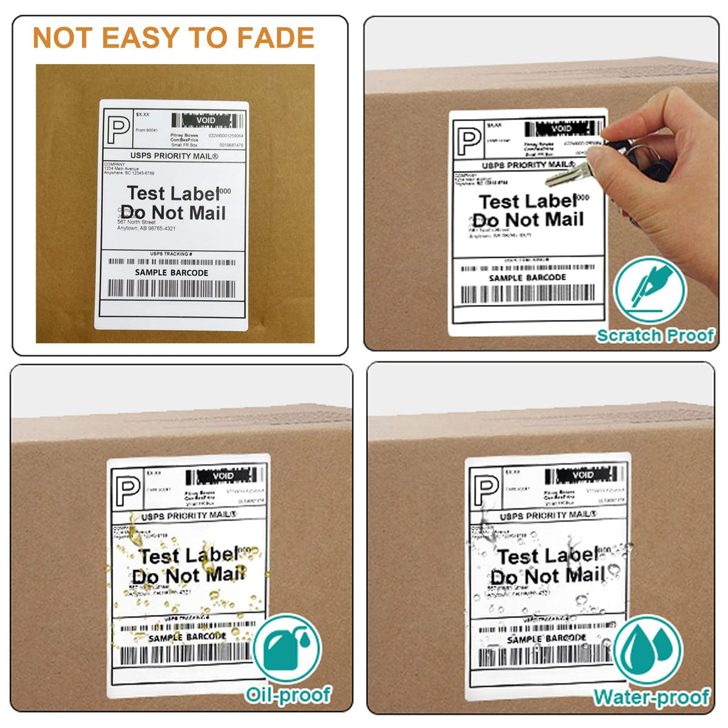 FungLam 2 Rolls 4x6 Direct Thermal Shipping Labels, 250 Labels/Roll, 1'' Core, Compatible Zebra 2844 ZP-450 ZP-500 ZP-505
