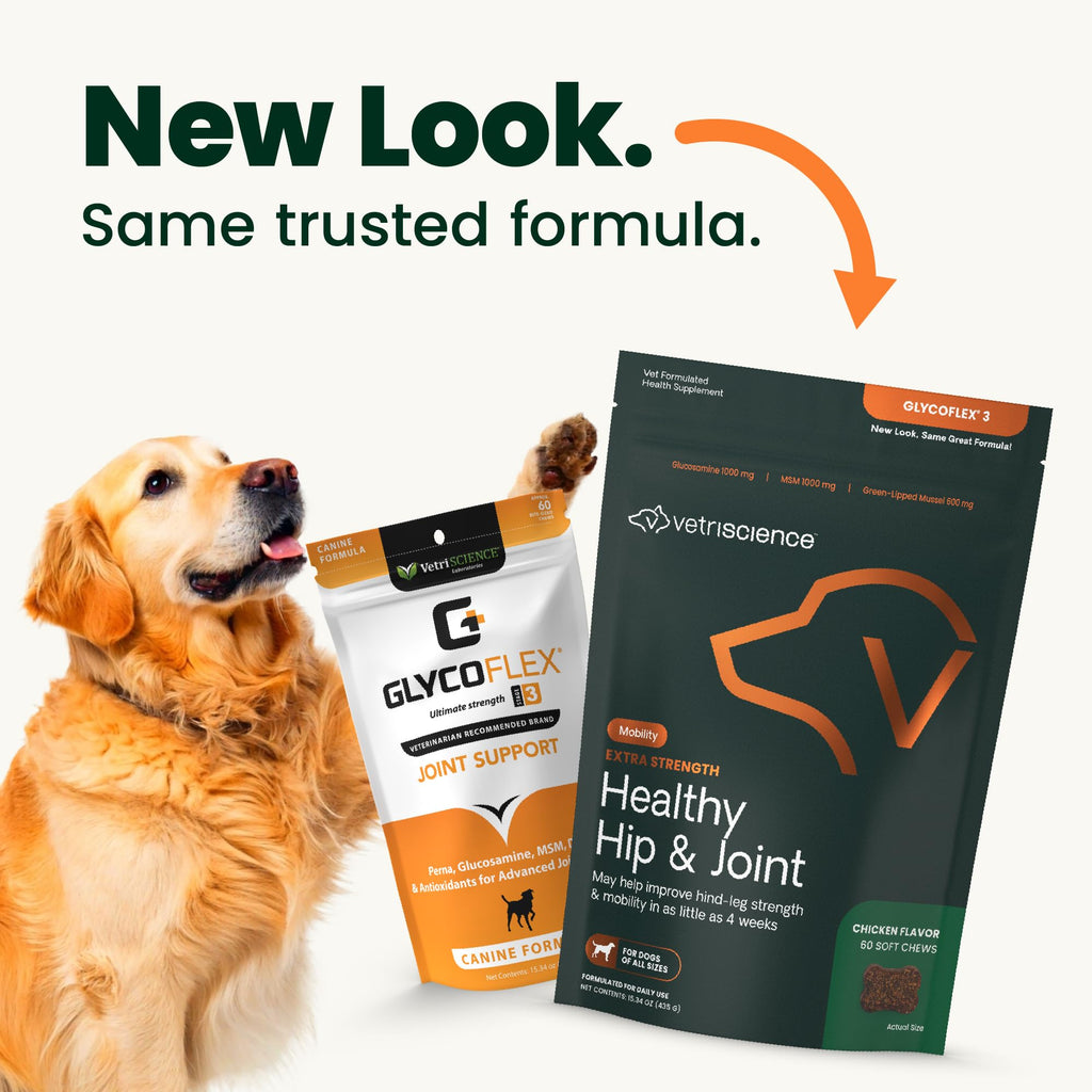 VetriScience Glycoflex 3 Vet Strength Glucosamine for Dogs Hip and Joint Supplement - Clinically Proven Mobility and Joint Supplement with MSM, DMG and Green Lipped Sea Mussel, Chicken, 60 Chews