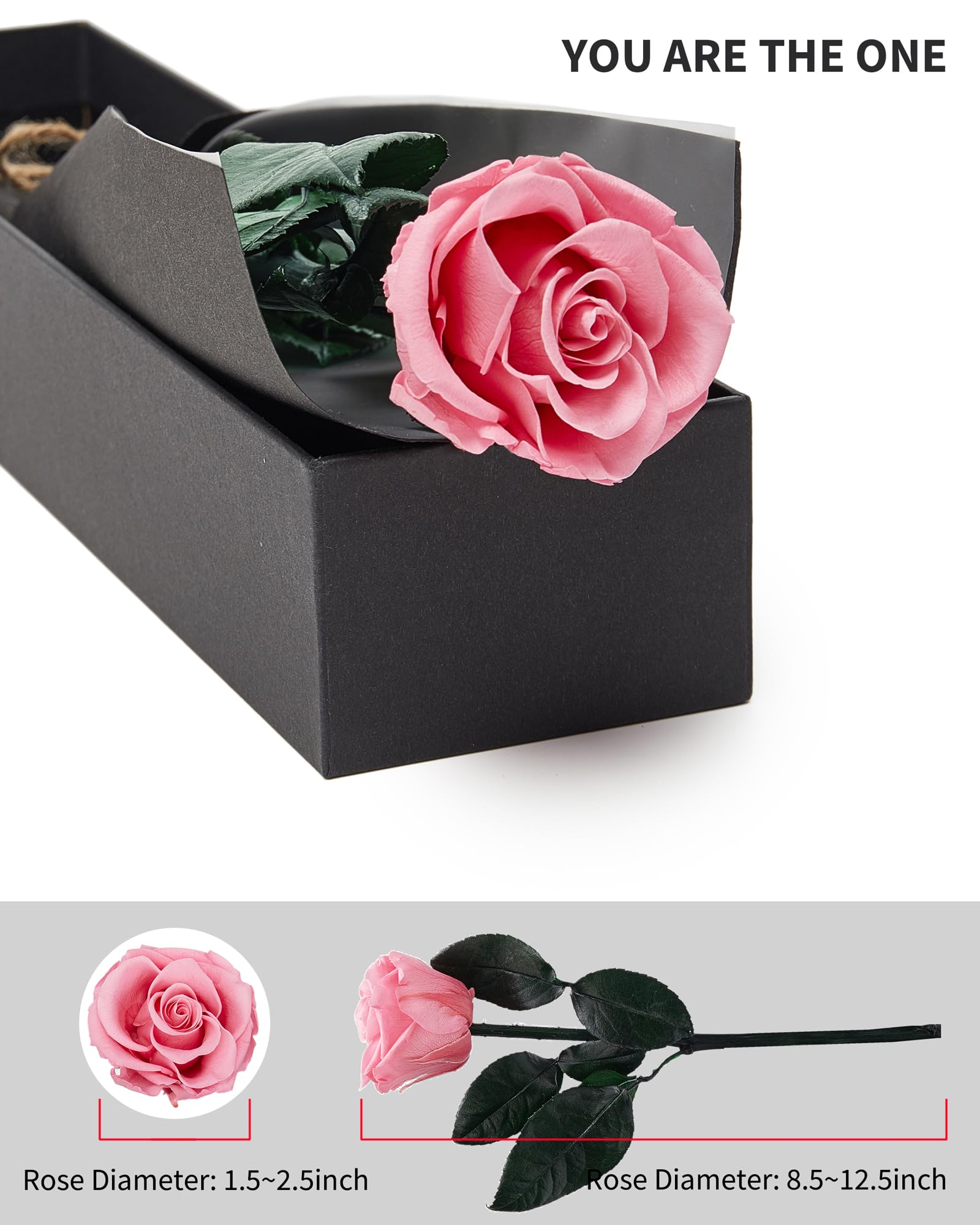 Flowers for Delivery Prime, Preserved Roses Flower Gifts for Women, Real Roses Single Rose Presents for Her, Mom Birthday Gifts from Daughter, Valentines Flowers Red Roses