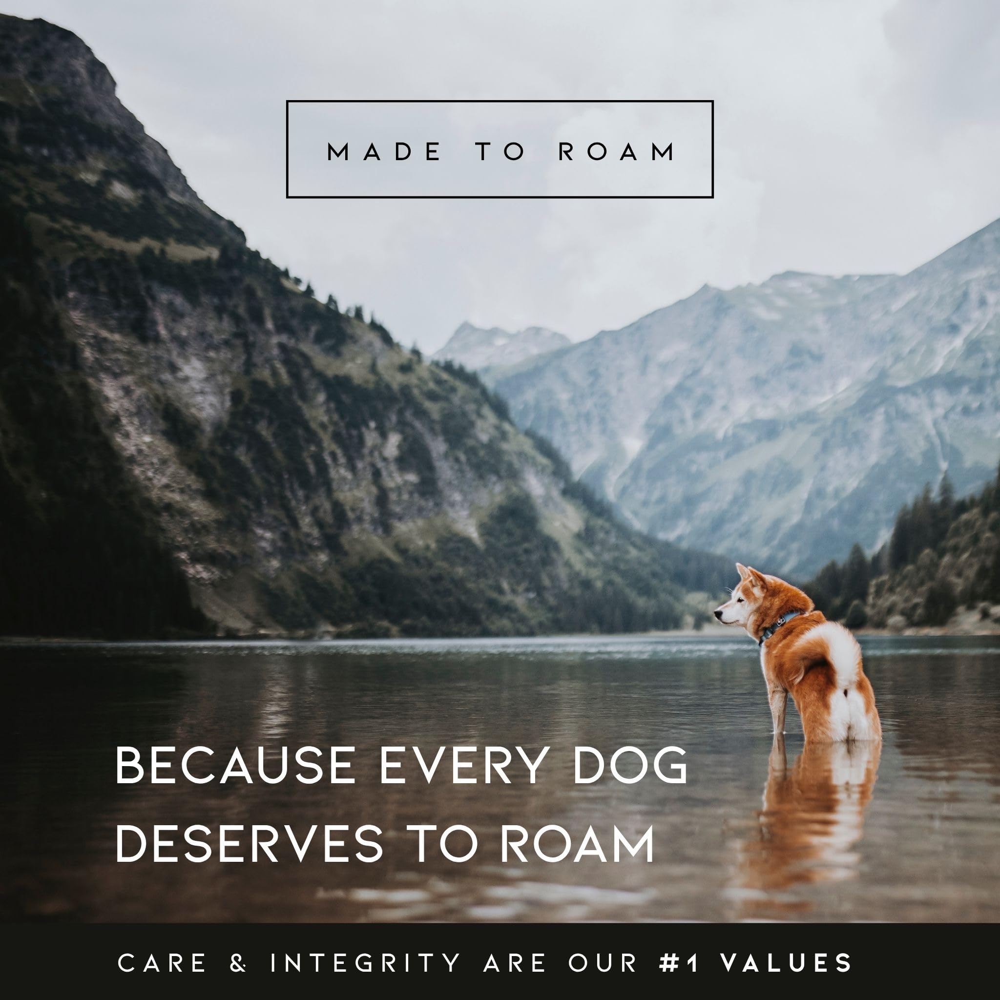 MADE TO ROAM Premium Explorer Harness - Y-Shaped Dog Harness with Adjustable Durable Nylon, Soft Padding, Metal Buckles and Leather Handle for Small, Medium, Large Dogs (Alaska Daybreak, Size 1)