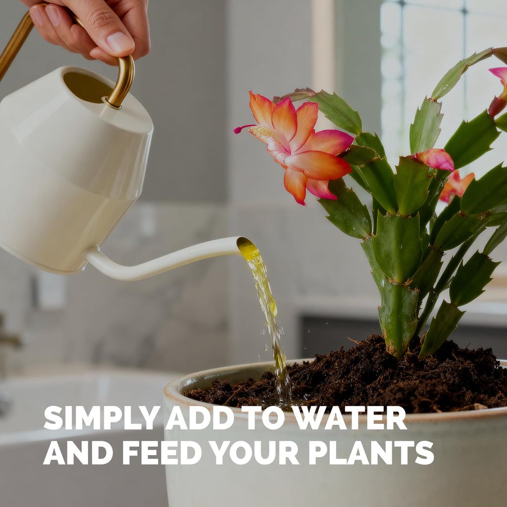 Christmas Cactus Fertilizer – Liquid Plant Food for More Blooms, Brighter Flower Color & Stronger Root Development, 8 oz