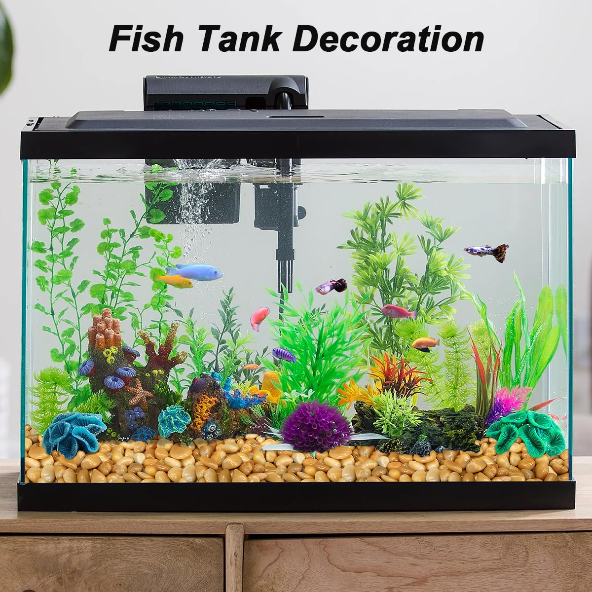 Terrarium Supplies,Virekm River Rocks, Decorative Ornamental Pebbles,Garden Landscaping Stones,Gravel Filler for Home Decoration Flower Bed Fish Tank Plants Vases Succulents