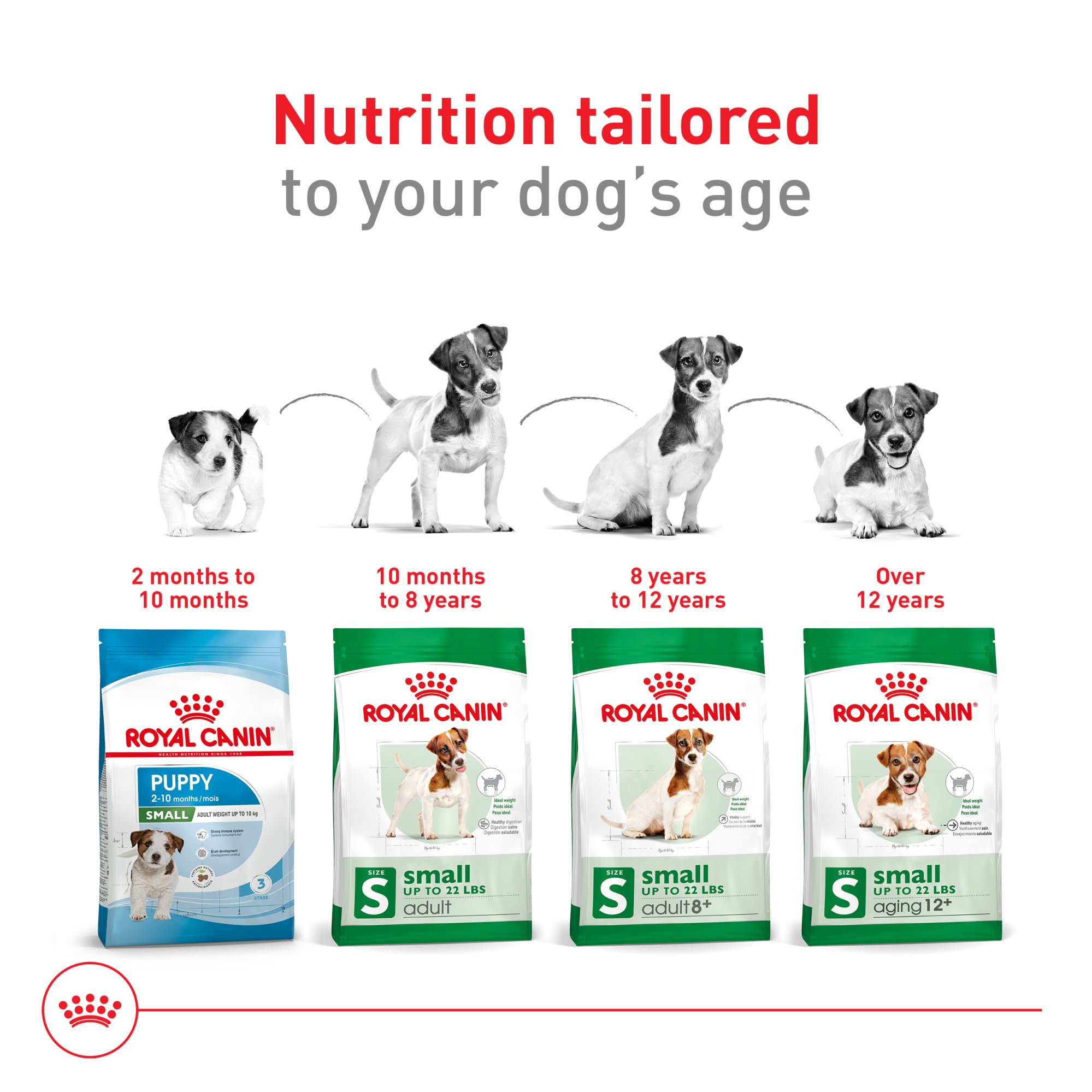 Royal Canin Size Health Nutrition Small 8+ Senior Dry Dog Food, 2.5 lb Bag