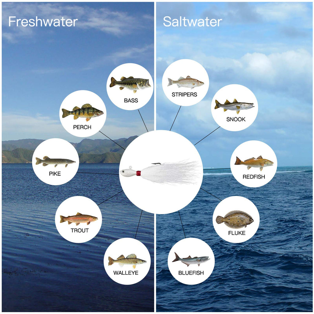 Dr.Fish 3 Pack Bucktail Jig Lure Hair Jig Saltwater Freshwater Lures Surf Fishing Bass Flounder Striper Bluefish Halibut Redfish