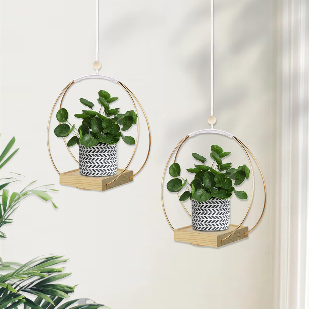 Hanging Planter for Indoor Plants, Black Plant Hanger Indoor with Sturdy Wood Base, Modern Boho Macrame Plant Hanger for 3-5.5 Inch Pot, Hanging Wall Ceiling Window Home Decor (Pots Not Included)