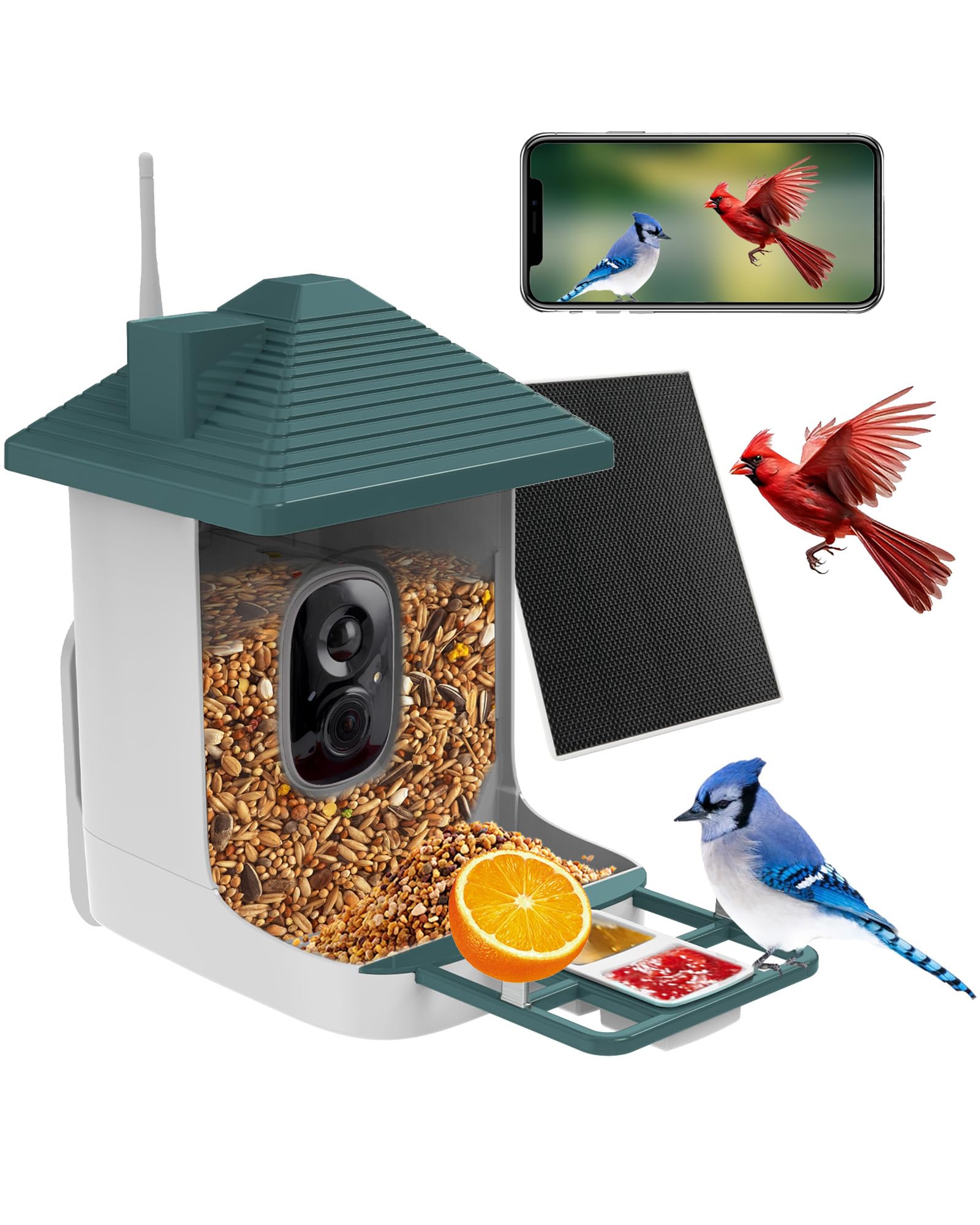 Smart Bird Feeder with Camera,AI Identify Species,Bird House with Solar Powered,Instant Arrival Alerts,2K Capture Video,Live View for Lover (Blackish Green)