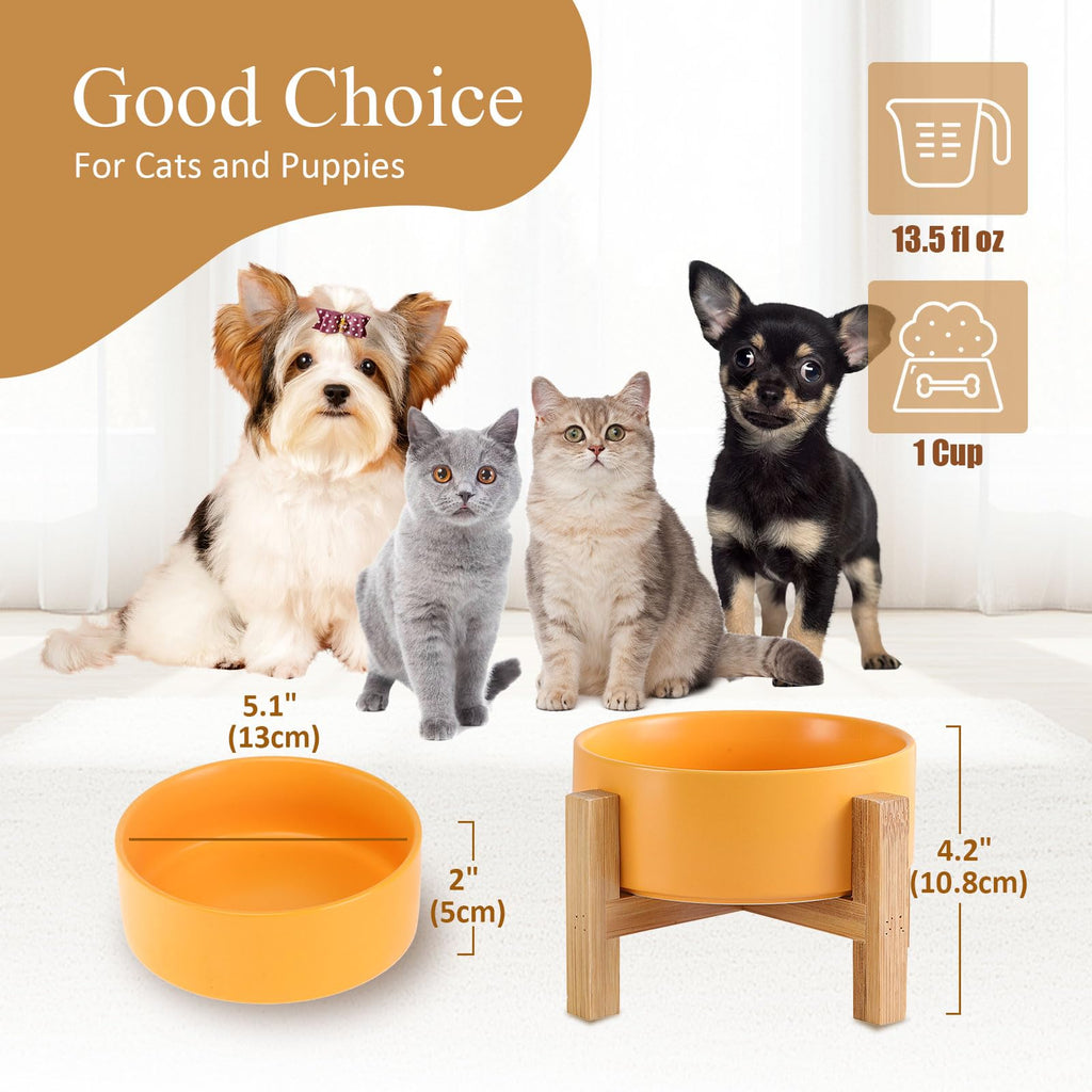 Raised Ceramic Cat Bowl - Cat Food Bowl with Bamboo Stand - Elevated Dog Food Dish for Puppies - Comfort Eating - 13.5 oz - 400 ml - Green