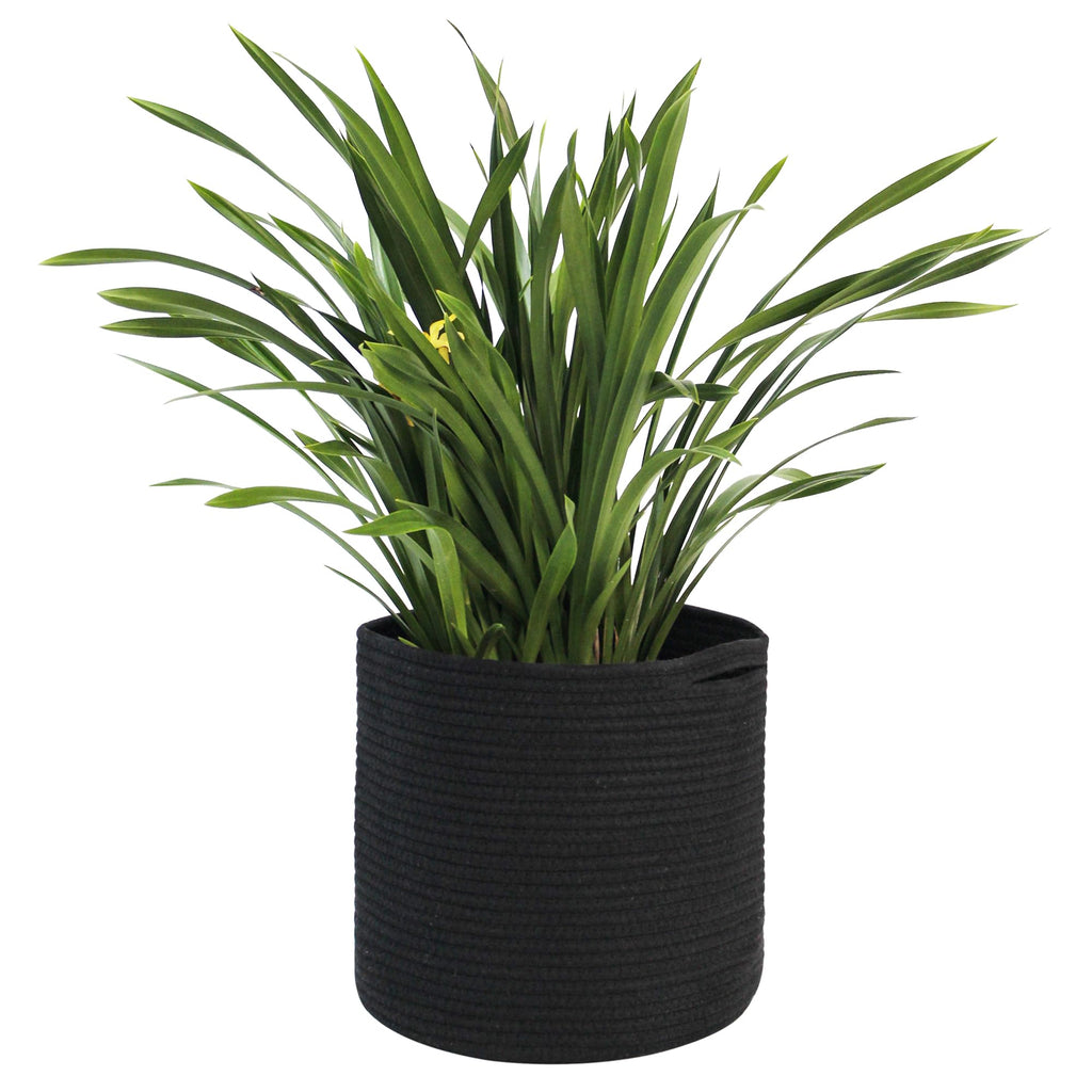 MEGASKET Cotton Rope Plant Basket, Woven Basket Planter for 10 inch Pot, Round Indoor Tree Pot Cover, Small Storage Bin Organizer, Modern Bins for Plants and Home Decor, 11”X11”, Black