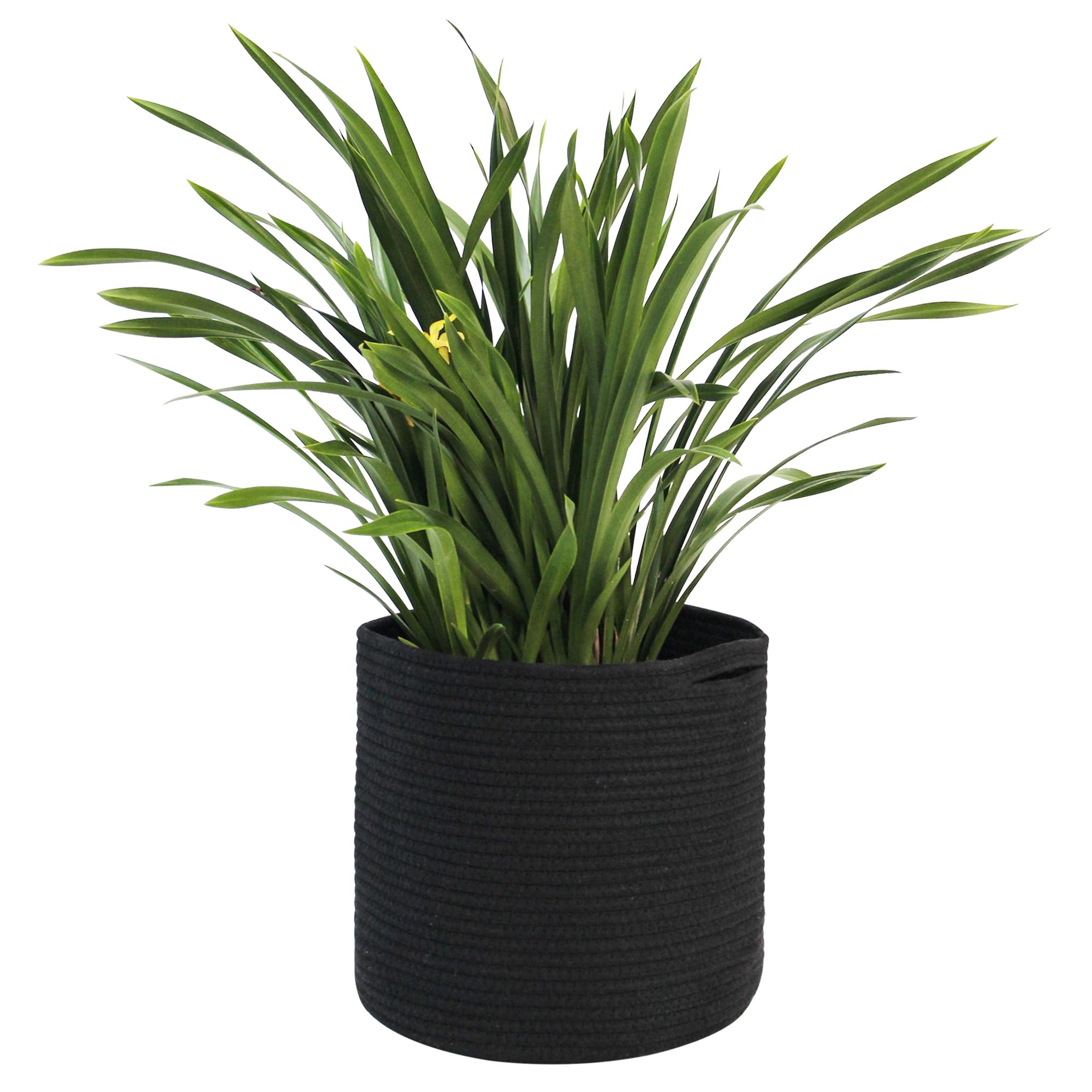 MEGASKET Cotton Rope Plant Basket, Woven Basket Planter for 10 inch Pot, Round Indoor Tree Pot Cover, Small Storage Bin Organizer, Modern Bins for Plants and Home Decor, 11”X11”, Black