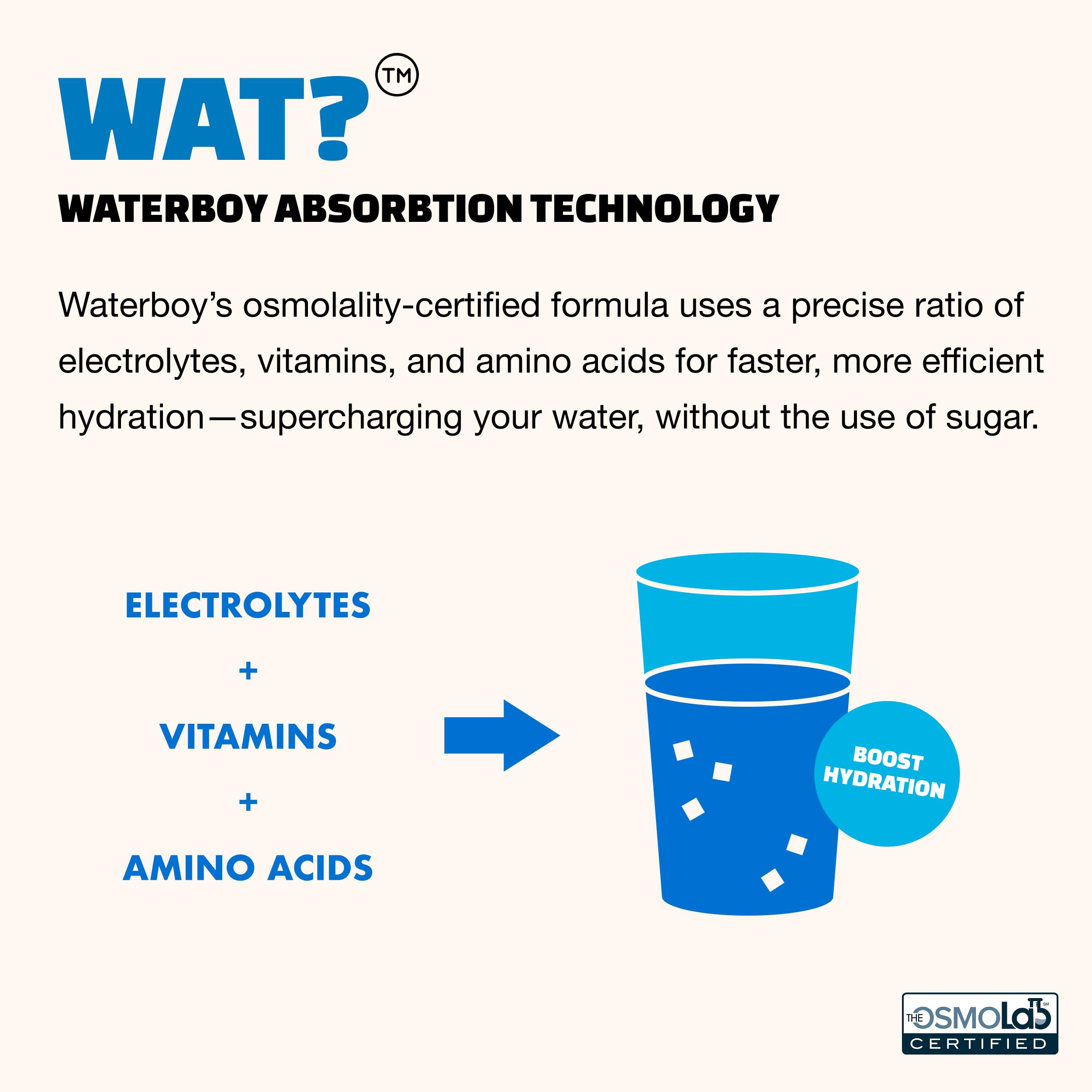 Waterboy - Weekend Recovery, Blue Raspberry, Sugar Free Electrolytes Powder Drink Mix - 24ct Hydration Packets