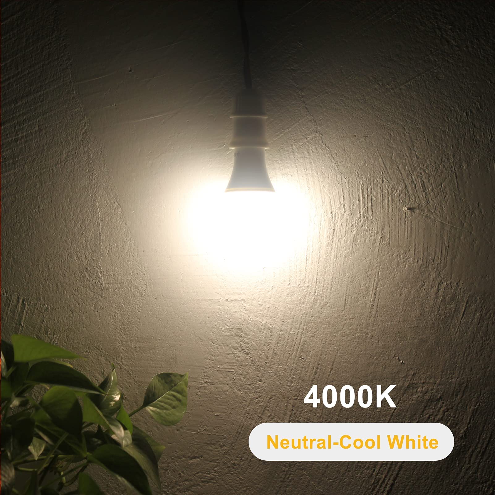 Qualilux Dusk to Dawn A19 LED Light Bulbs 850LM, 60W Equivalent, Daylight, Energy-Efficient 9.5W, A19, E26 Base, 2-Pack, HQ-H011