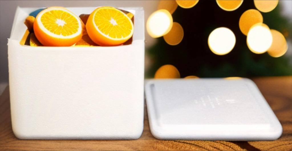 Robin II EPS Foam Cooler (Outside Dimensions: 15” x 13” x 10”) with Shipping Box - 3 Pack, Protective, Thermal, Insulated, Biodegradable, Recyclable, Shipping/Storage