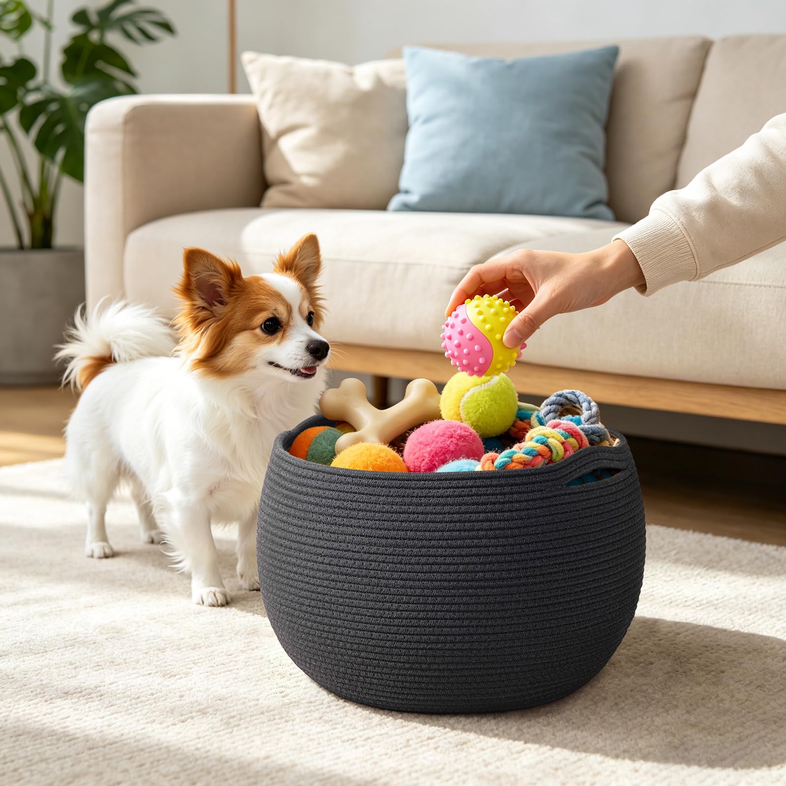 Goodpick Small Rope Storage Basket, Black Round Baskets for Socks, Dog Toys, Towels, Cute Baby Basket for Living Room, Bedroom, Nursery, Towel Baskets for Bathroom, 10 x 8.3 inches