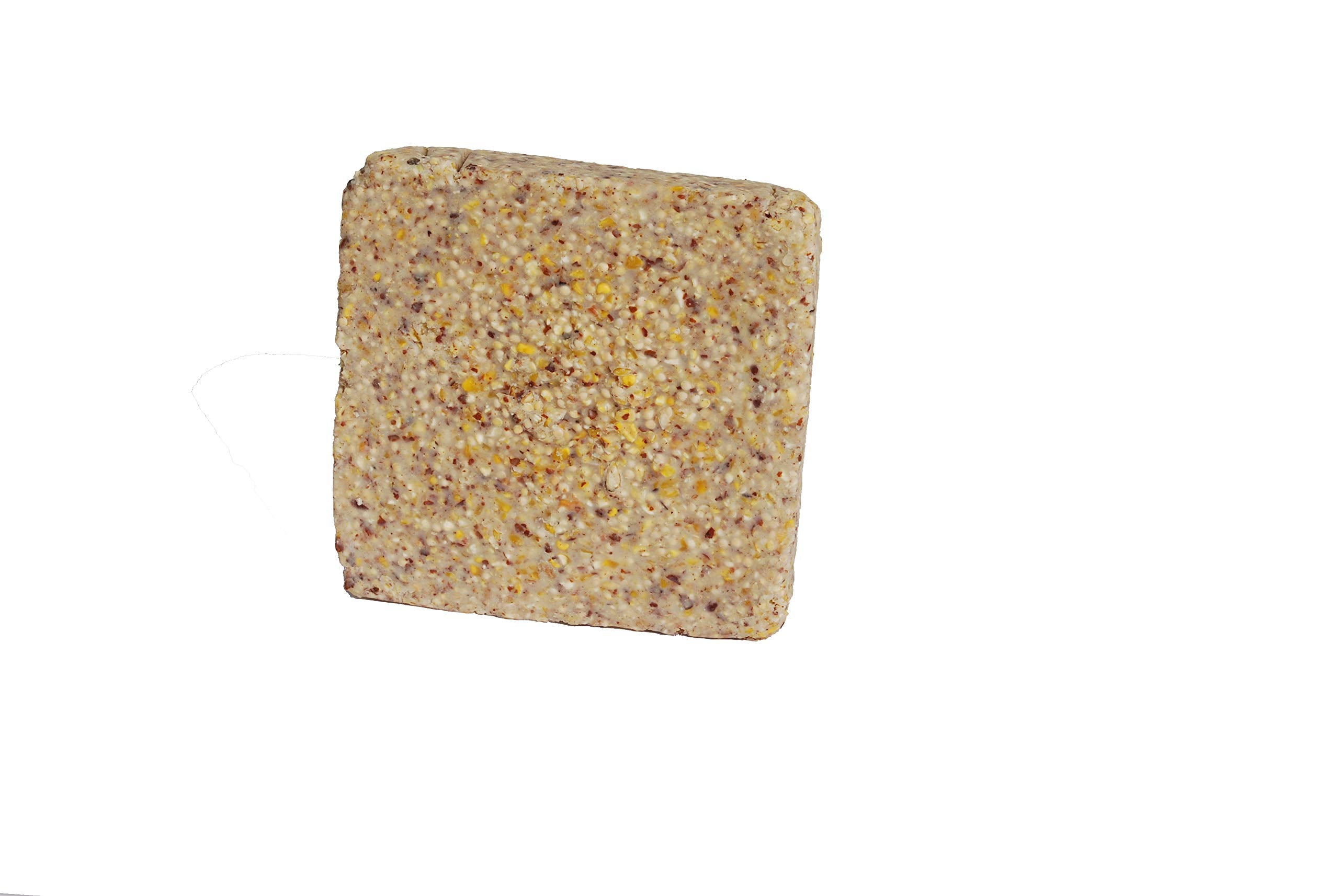 ST. ALBANS BAY SUET PLUS Suet Cake Variety Packs | 11 oz. Wild Bird Suet Cakes | (Apple, 10 Pack)
