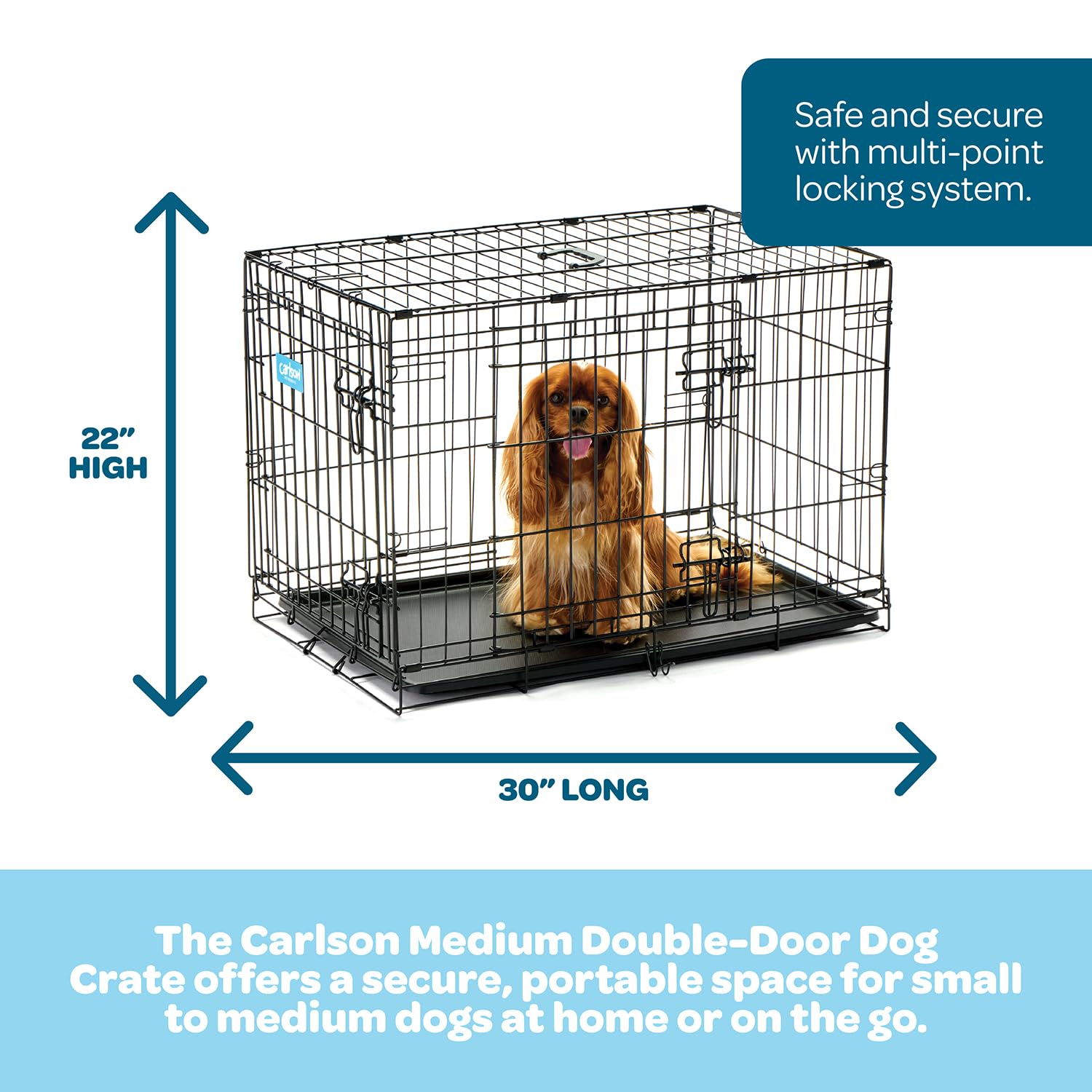 Carlson Secure and Compact Double Door Metal Dog Crate, Medium with Divider Panel