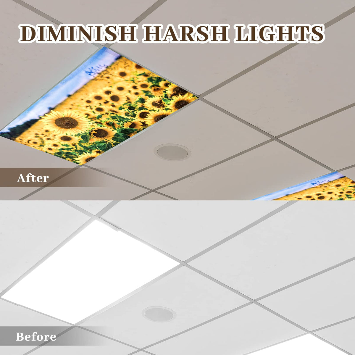 Hortsun 4 Pack Fluorescent Light Covers 4 x 2 Feet Magnetic Light Cover for Drop Ceiling, Fluorescent Ceiling Shade Filters for Office Classroom Home Hospital Decor(Beach)