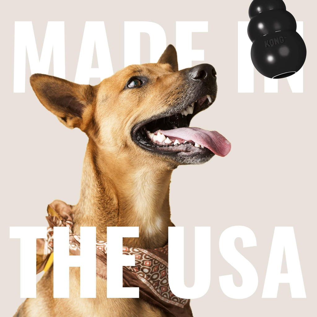 KONG Extreme Dog Toy - Fetch & Chew Toy - Treat-Filling Capabilities & Erratic Bounce for Extended Play Time Most Durable Natural Rubber Material - for Power Chewers - for Small Dogs