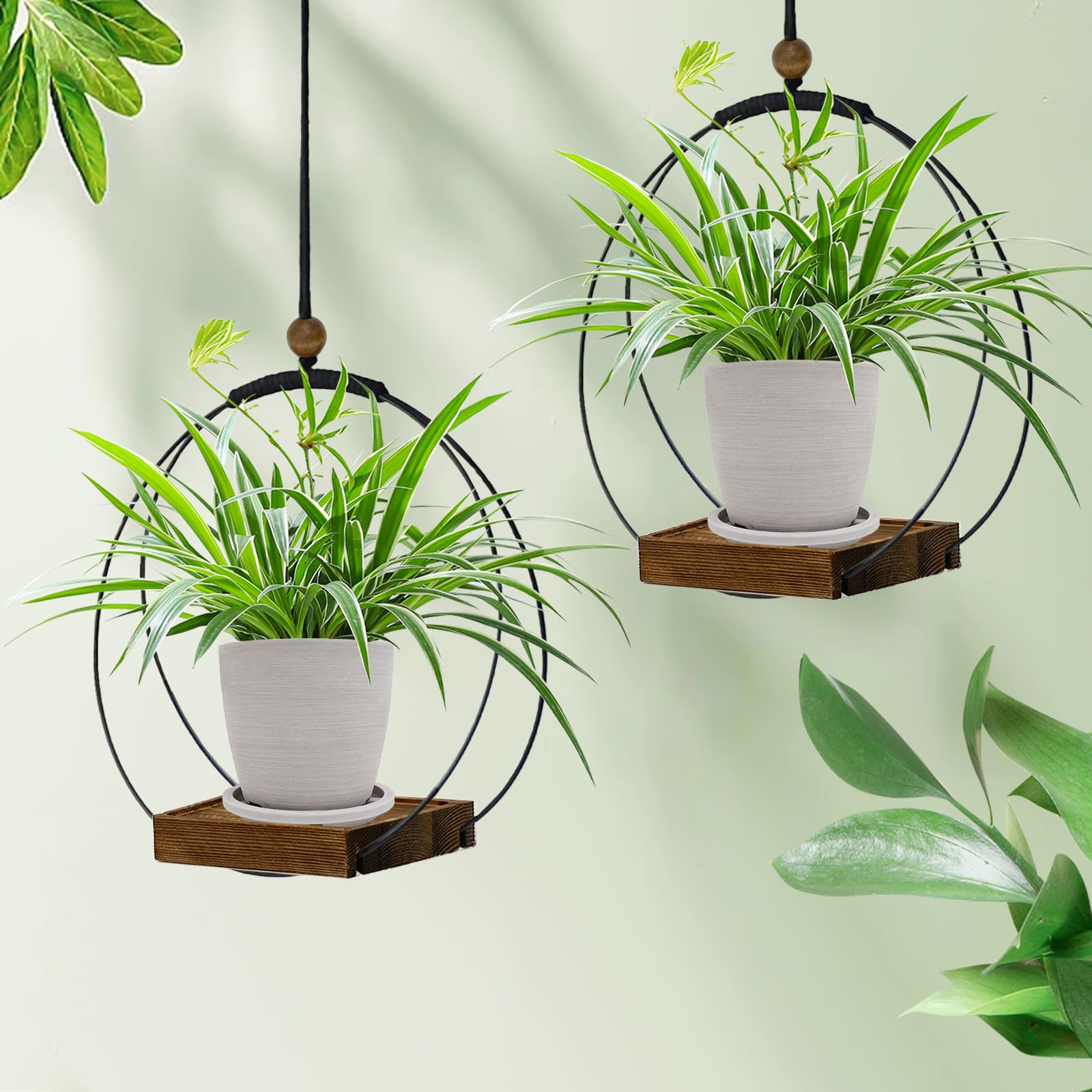Hanging Planter for Indoor Plants, Black Plant Hanger Indoor with Sturdy Wood Base, Modern Boho Macrame Plant Hanger for 3-5.5 Inch Pot, Hanging Wall Ceiling Window Home Decor (Pots Not Included)