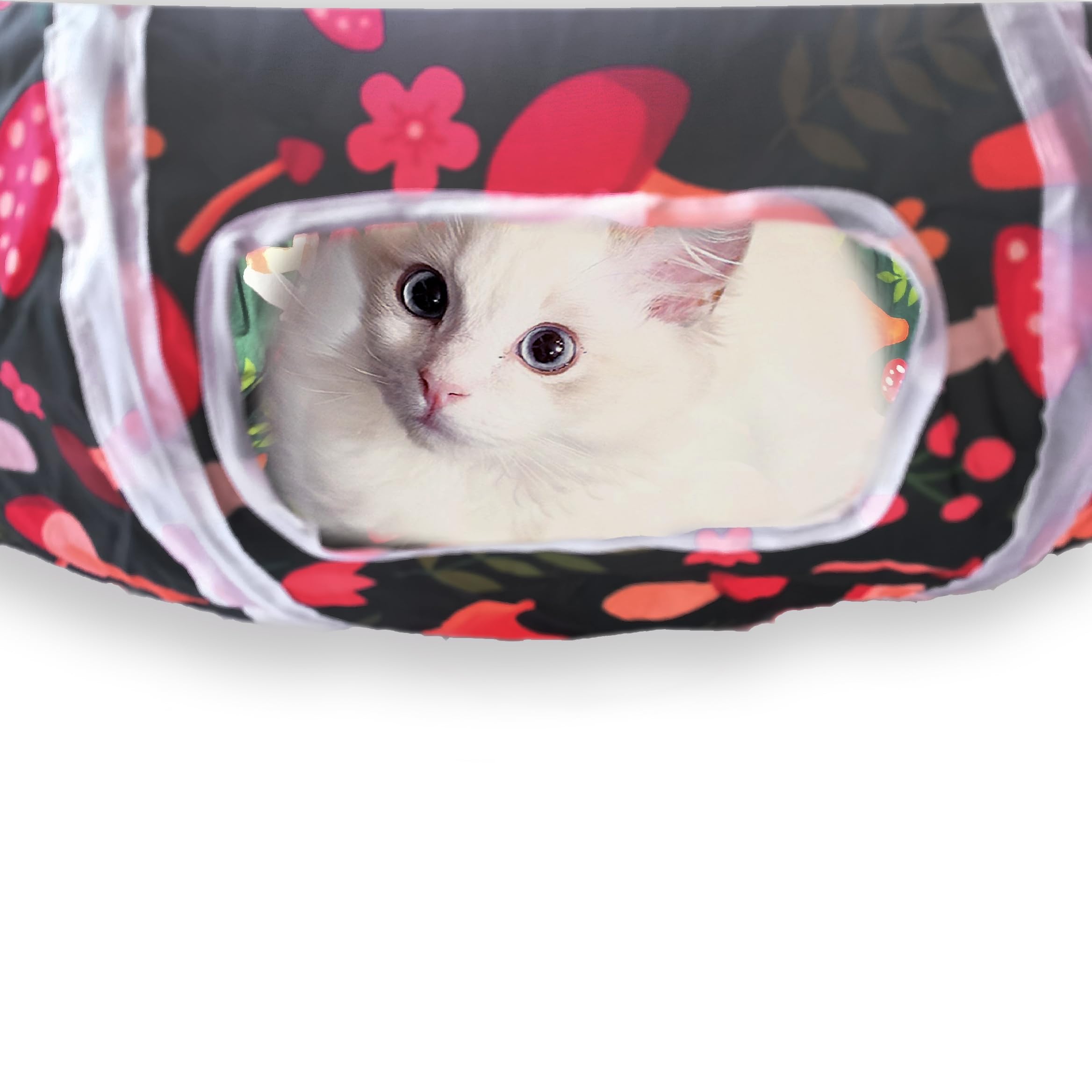 Sheldamy Cat Tunnel, 2-Way Collapsible Play Tunnel, Interactive Toy Maze for Small Animals, Suitable for Kittens, Puppies, Rabbits, Ferrets, Blue & Black