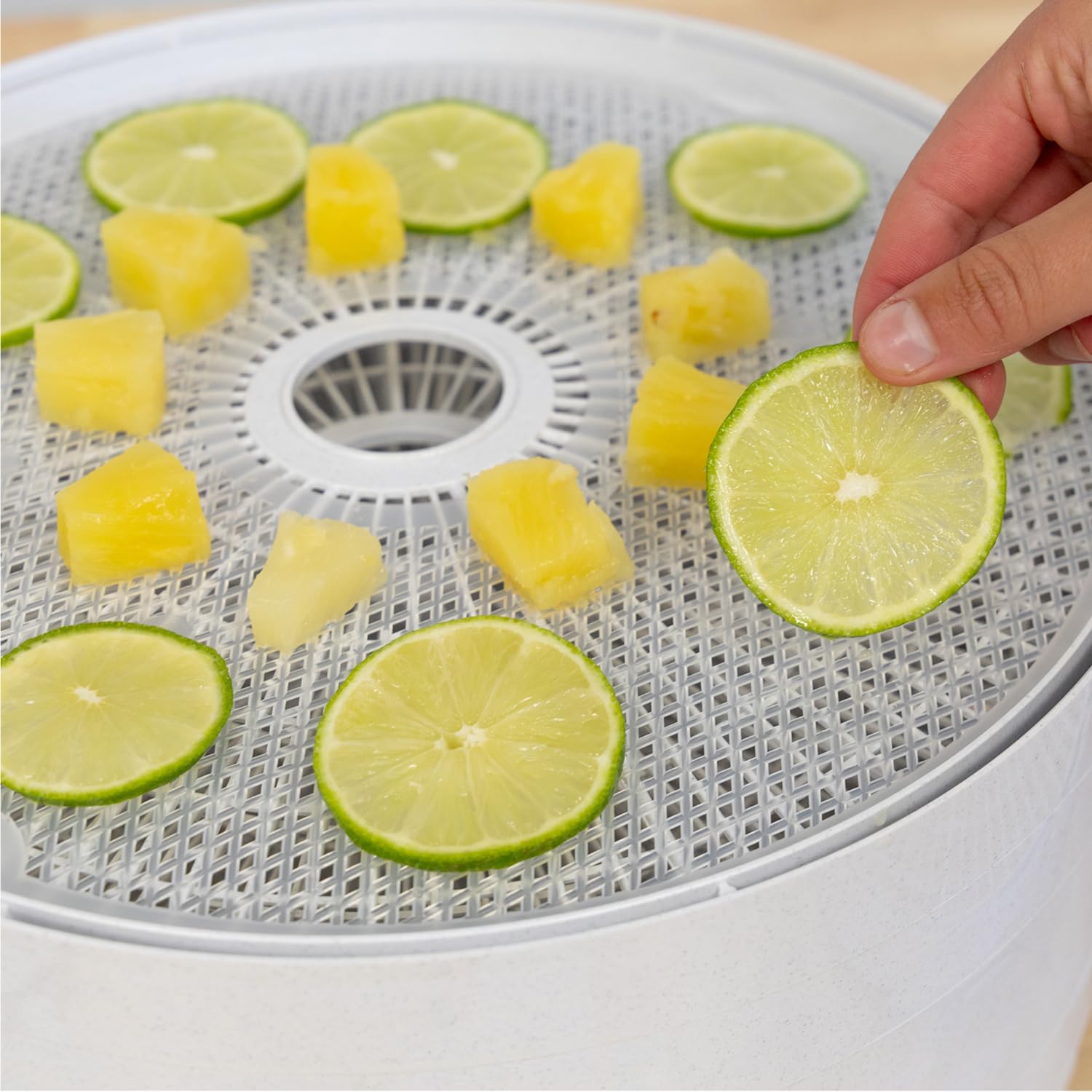 Nesco FD-61 Snackmaster Encore Food Dehydrator for Great Jerky and Snacks, 4 Trays, Gray
