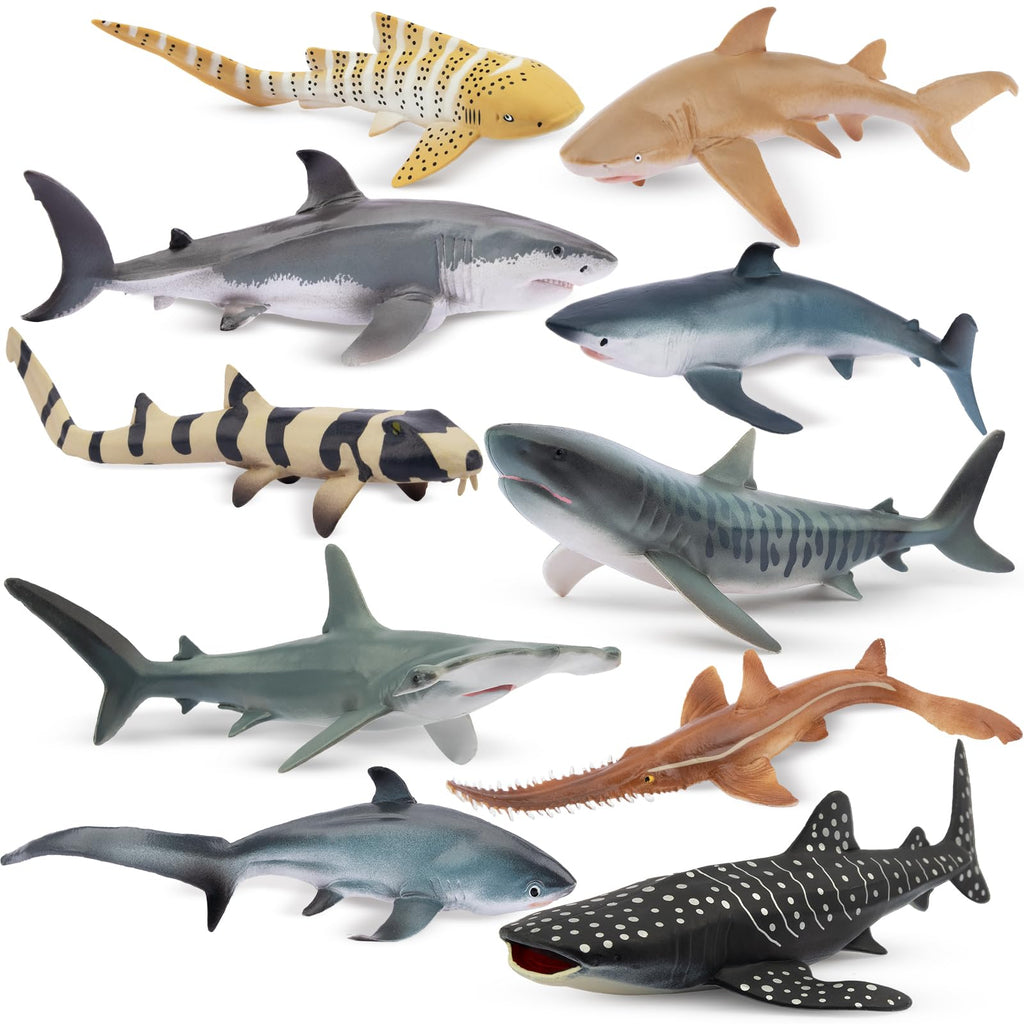 Toymany 10PCS 5-6" L Realistic Shark Bath Toy Figurines, Plastic Ocean Sea Animals Figures Set Includes Great White Shark Cake Toppers Christmas Birthday Gift for Kids Toddlers
