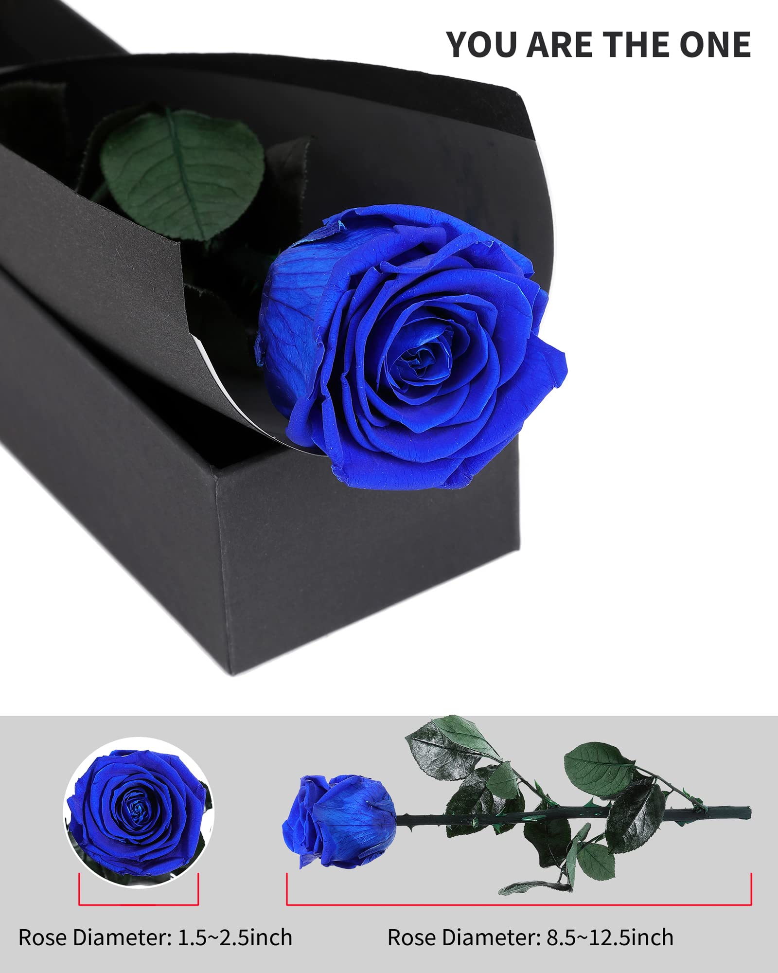 Flowers for Delivery Prime, Preserved Roses Flower Gifts for Women, Real Roses Single Rose Presents for Her, Mom Birthday Gifts from Daughter, Valentines Flowers Red Roses