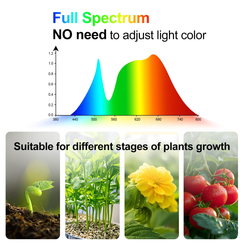 2Pack Small Clip Grow Lights for Indoor Plants, Bonsai, Mini Full Spectrum Pot Plant Grow Light, 4/8/12/16/20H Timer, 9 Watt Power Draw, NO Need Adapter