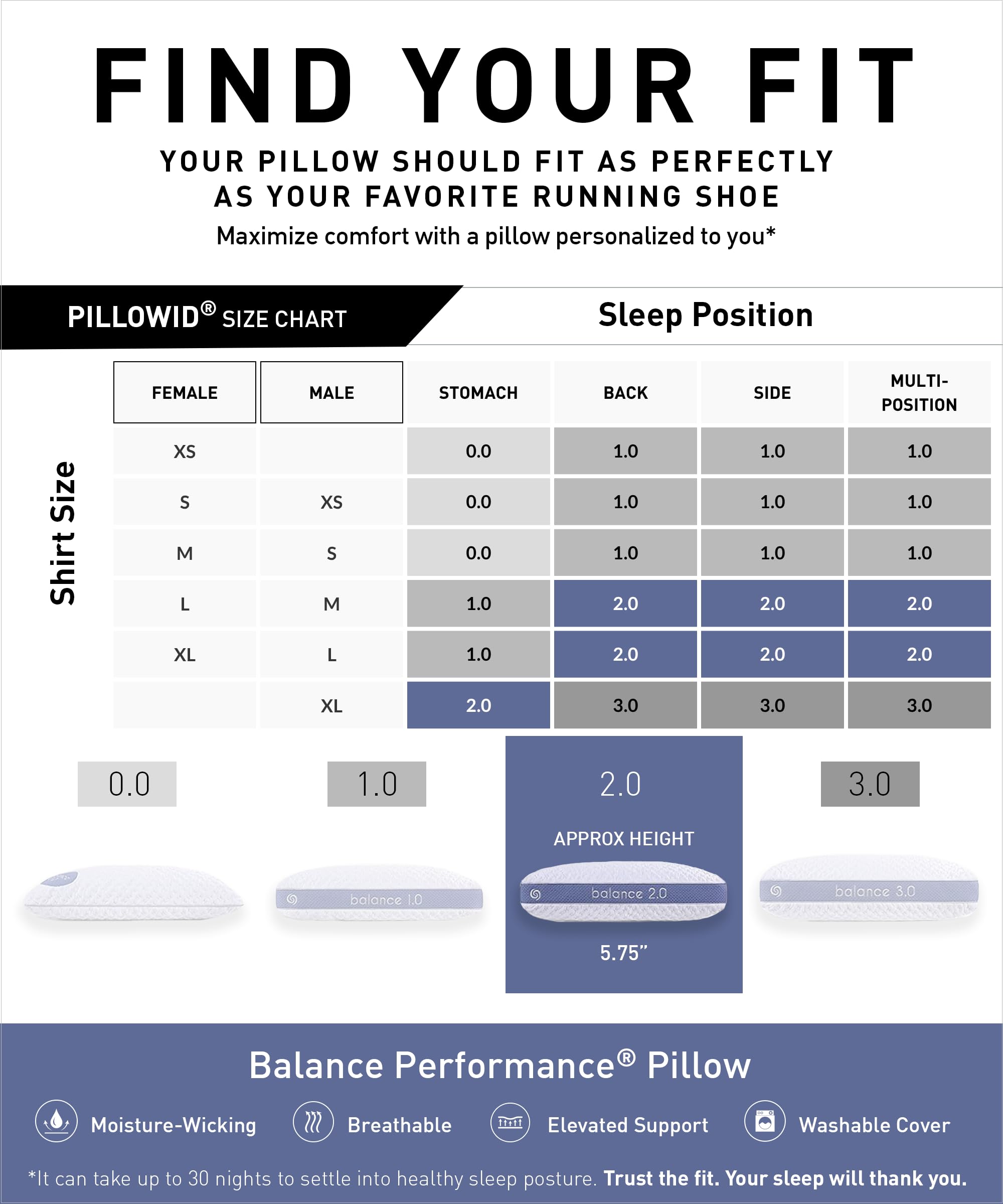 Bedgear Balance 1.0 Performance Pillow, Medium Support Bed Pillow for All Sleep Positions | Boost Blend Fill with Responsive Comfort & Air-X Mesh Ventilation | Washable Hypoallergenic Pillow