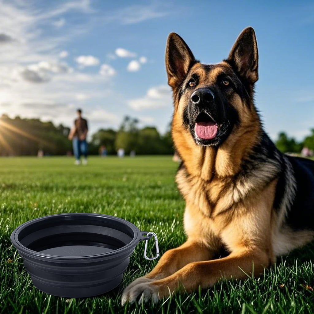 Dog Bowl Pet Collapsible Bowls, 2 Pack Collapsible Dog Water Bowls for Cats Dogs, Portable Pet Feeding Watering Dish for Walking Parking Traveling with 2 Carabiners (Small, Black & Pink)
