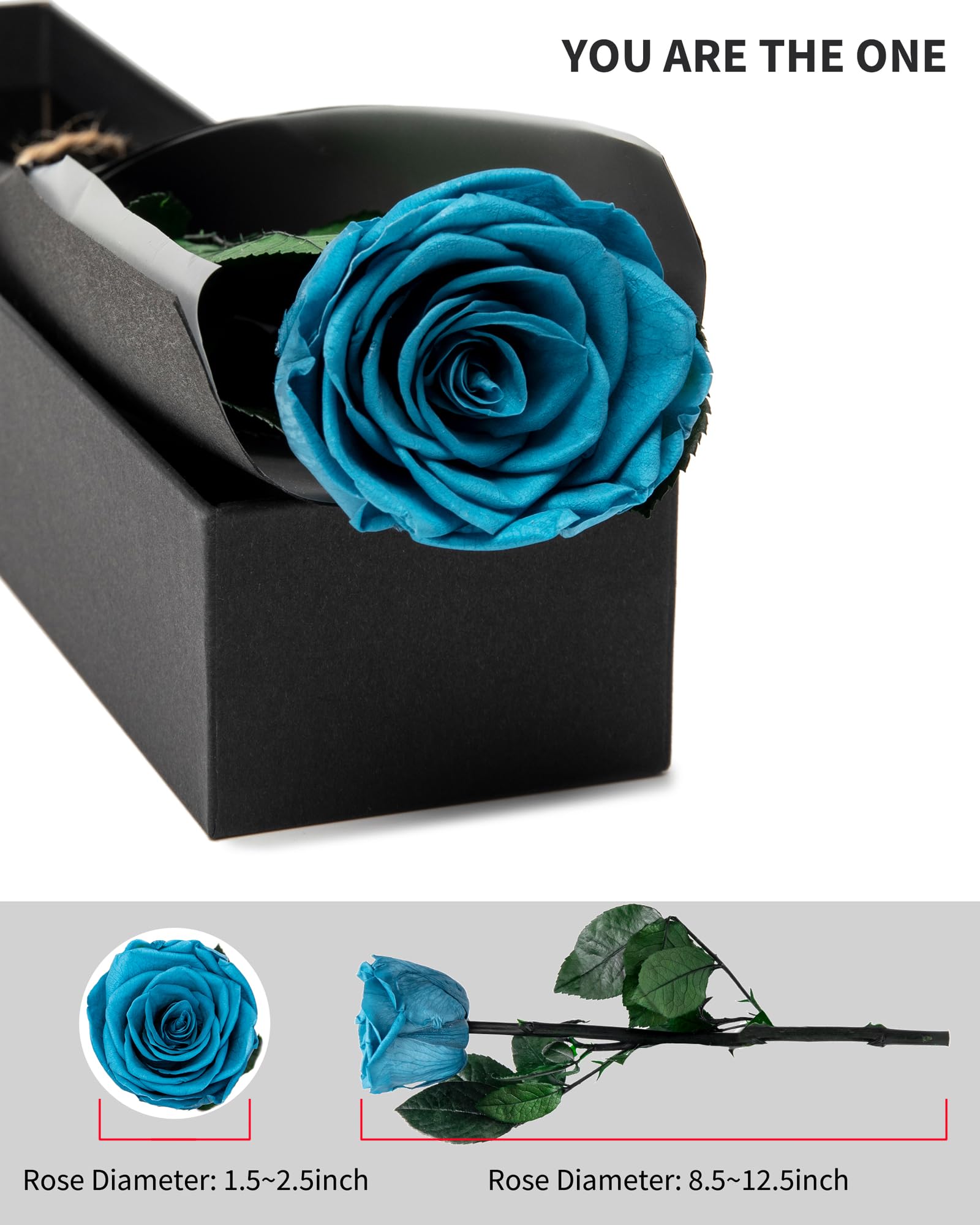 Flowers for Delivery Prime, Preserved Roses Flower Gifts for Women, Real Roses Single Rose Presents for Her, Mom Birthday Gifts from Daughter, Valentines Flowers Red Roses
