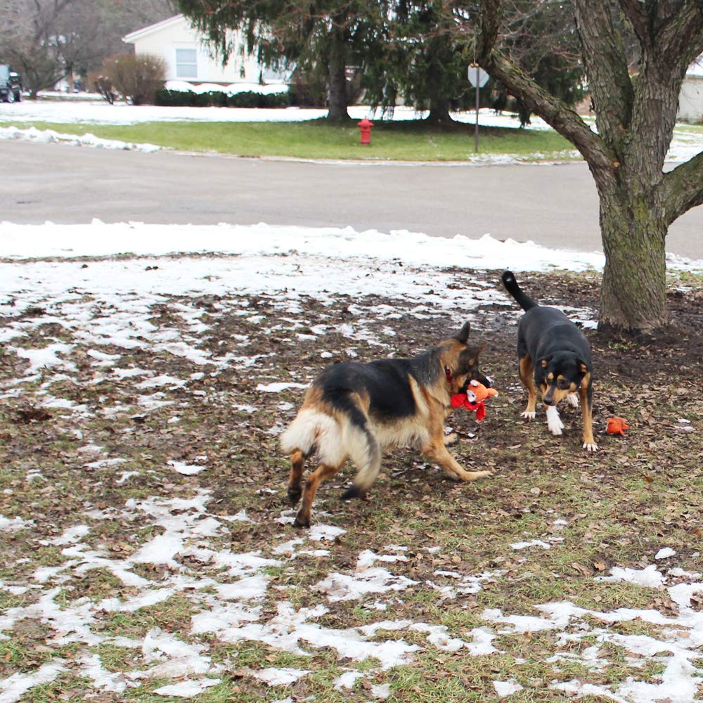 Jalousie Multipack Dog Squeaky Toys Strong Almost Indestructible, with Added Liner for Longer Play Dog Chew Toys (3 Pack - XLarge)