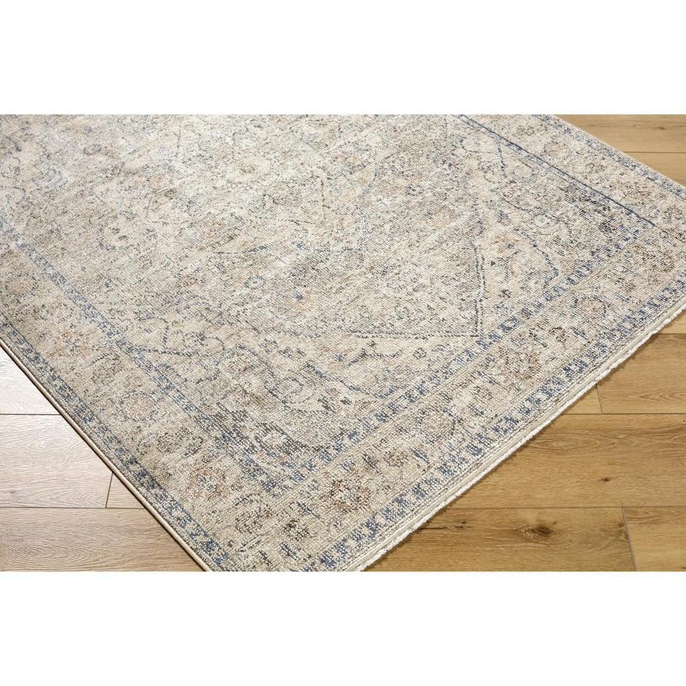 Livabliss x Galey Alix Maria Elena III Vintage Medallion Area Rug, 5'3" x 7' (5' x 7'), Brown
