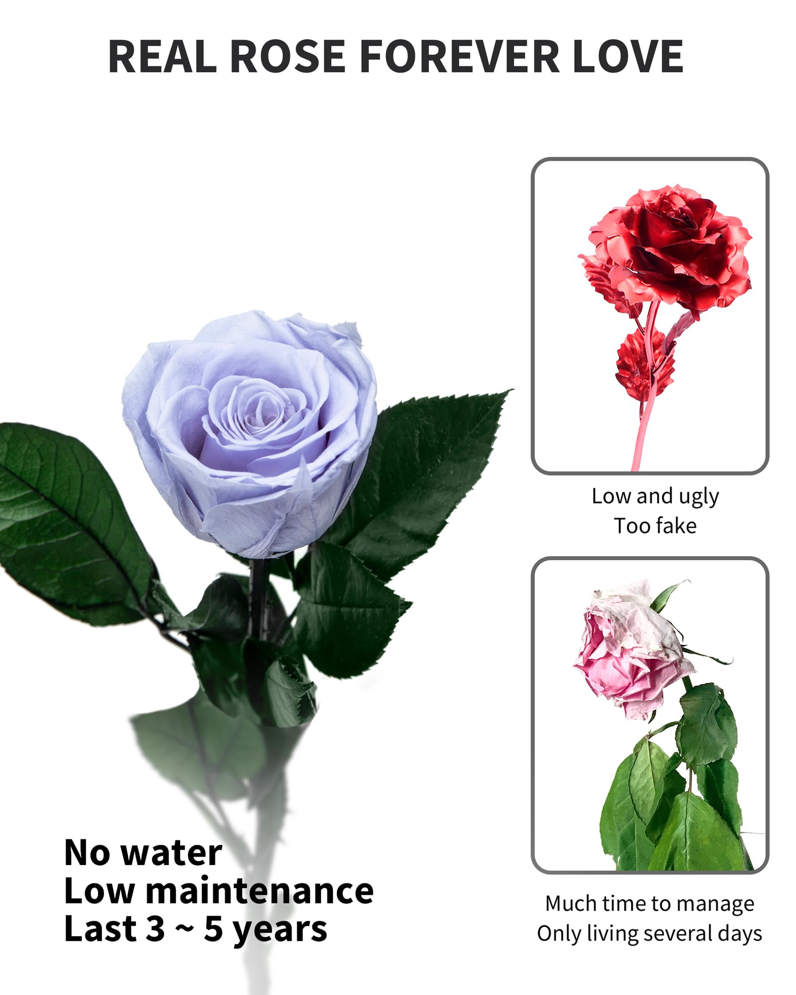 Flowers for Delivery Prime, Preserved Roses Flower Gifts for Women, Real Roses Single Rose Presents for Her, Mom Birthday Gifts from Daughter, Valentines Flowers Red Roses