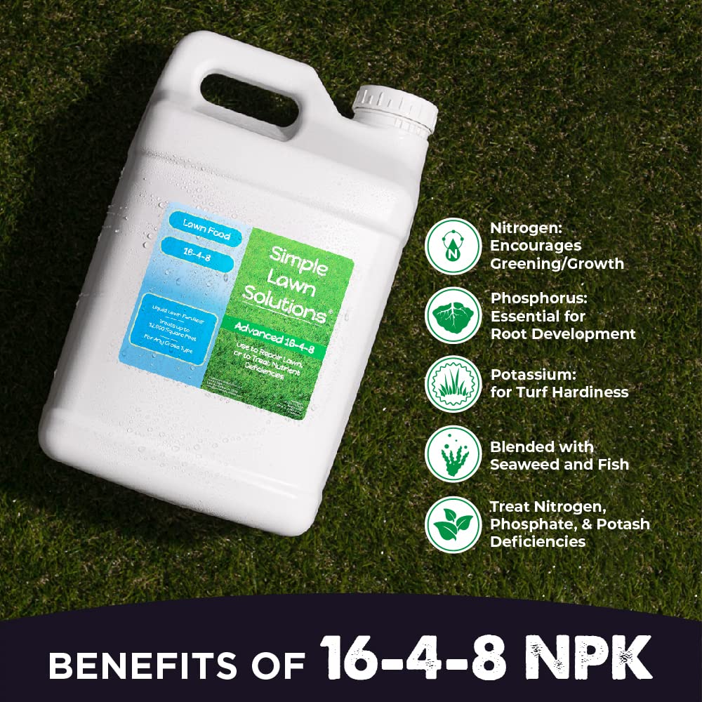 Advanced 16-4-8 Lawn Fertilizer - Liquid Lawn Food Spring & Summer Concentrated Spray - Any Grass Type- Fish and Seaweed Kelp- Balanced NPK - Simple Lawn Solutions (1 Gallon)