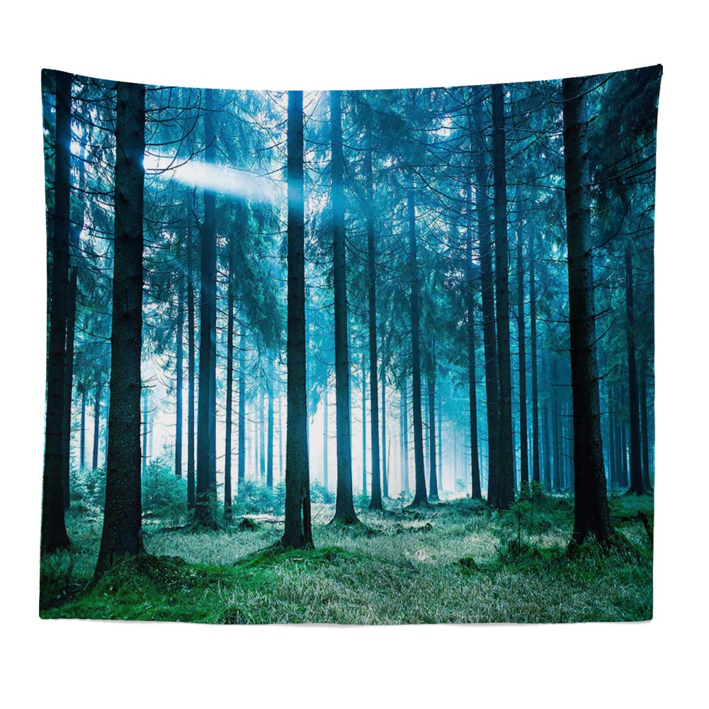 Llamazing Forest Landscape Home Decor - Living Room & Bedroom Magic Tapestry (Sunlight&Creek, 60''L51''W)