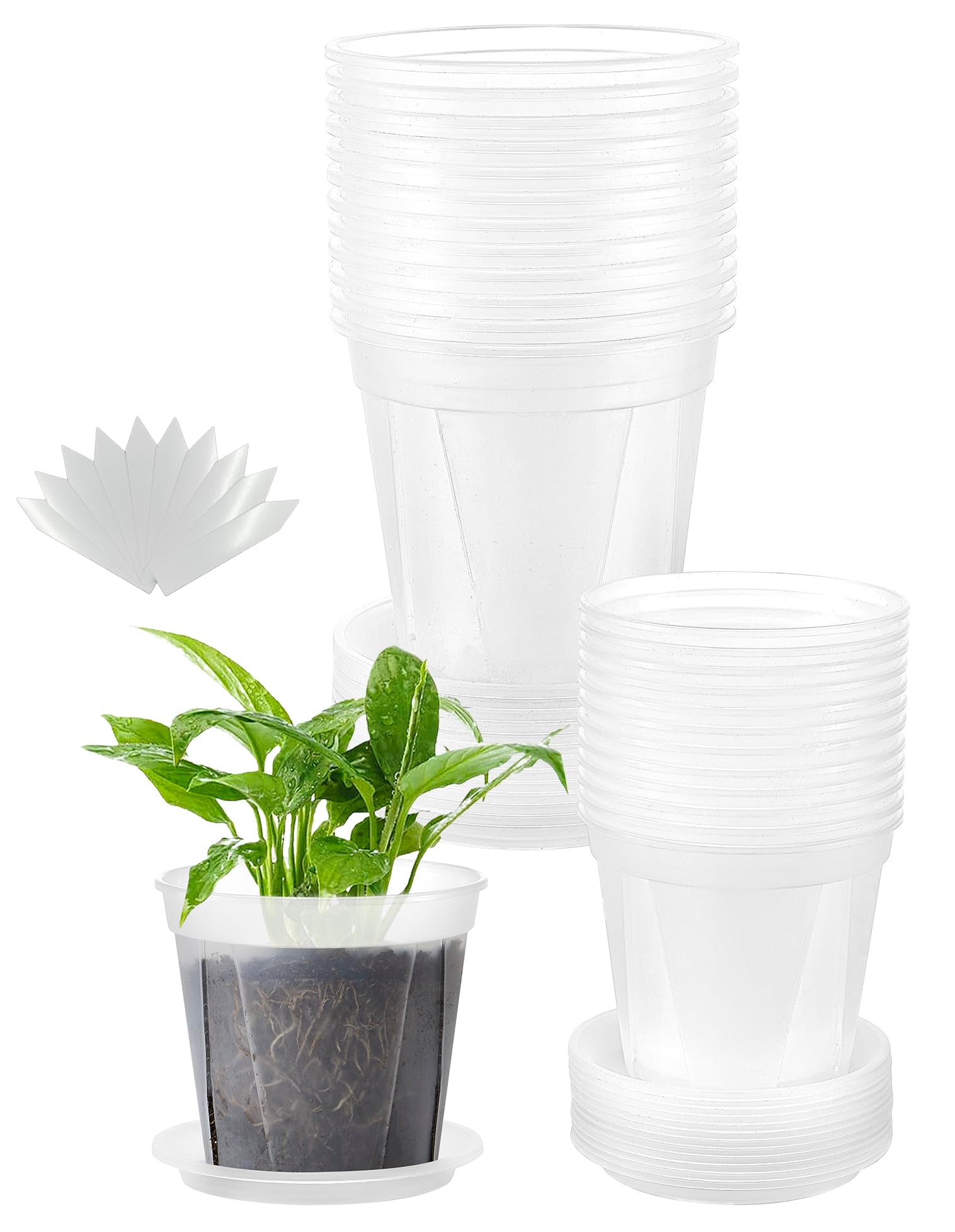 24 pcs 6/5 inch Clear Nursery pots for Plants Saucers,5/6 inch Clear Heavy pots with Side Vents for Reporting Orchids,Aroid,Monstera, Indoor & Outdoor use