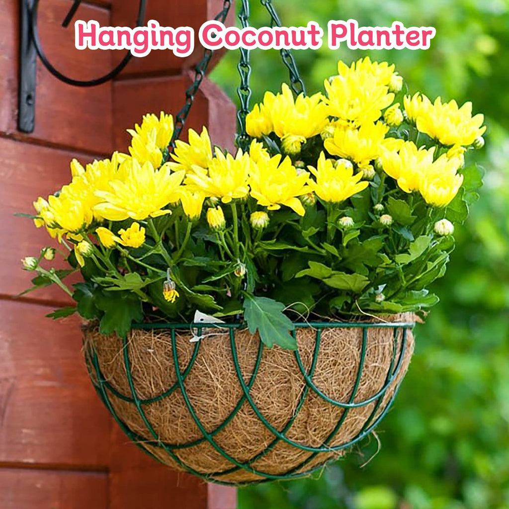 Riare 2 Pack 12 Inch Round Coco Liners Replacement, 100% Natural Coconut Coir Liners for Hanging Baskets, Garden Flower Vegetables Planter Pot, Window Box, Fence, Decks