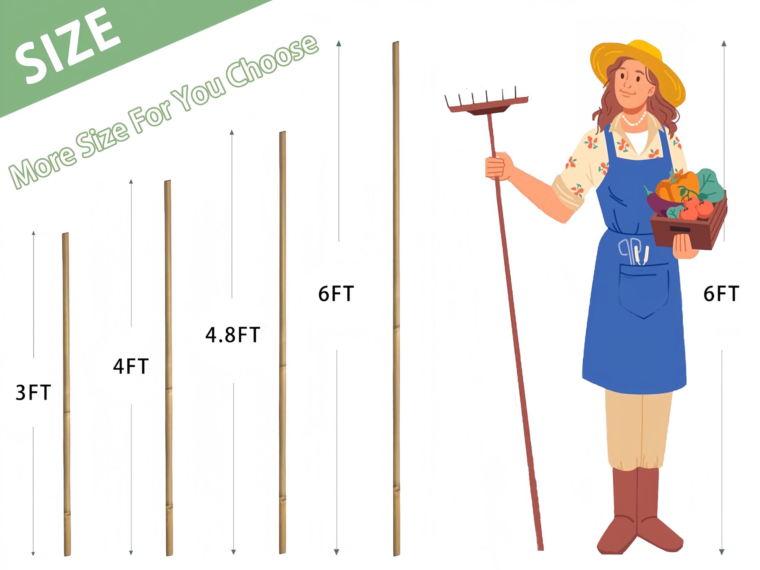 Plant Bamboo Post,3Feet,Bamboo Garden Stakes,50PcsBamboo Stakes,for Tomato,Beans,Vegetable and Flowers, Potted Plants,Indoor and Outdoor Climbing Plants