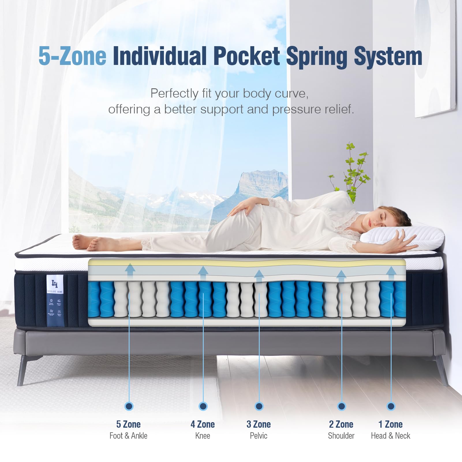 Queen Mattress, DIGLANT 14Inch Euro Top Memory Foam Hybrid Mattress, Medium Plush Feel Pocket Springs Queen Size Mattress for Pressure Relief, Edge Support Mattress in Box, CertiPUR-US, 60"*80"
