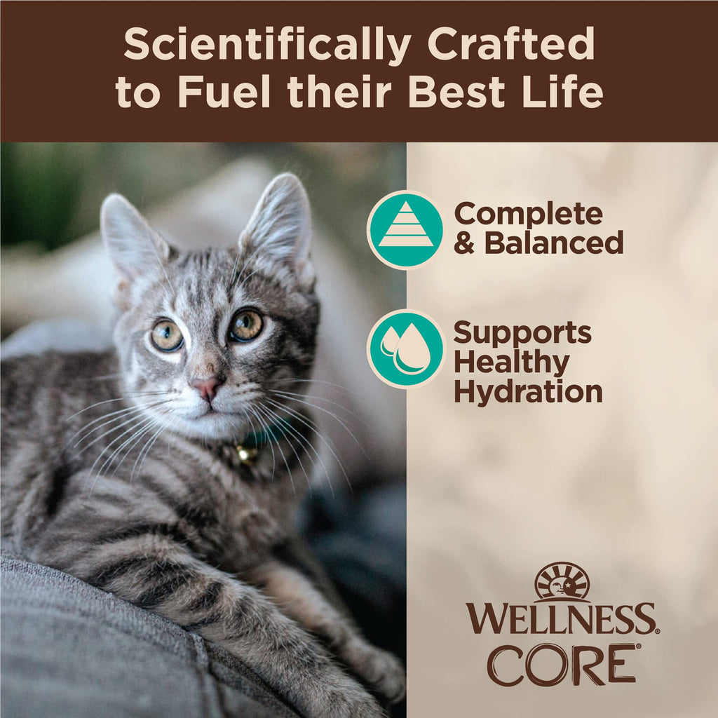 Wellness CORE Tiny Tasters Pate Adult Wet Cat Food, Natural, Protein Rich, Grain Free, Chicken Recipe, 1.75 oz, Pack of 12 Pouches