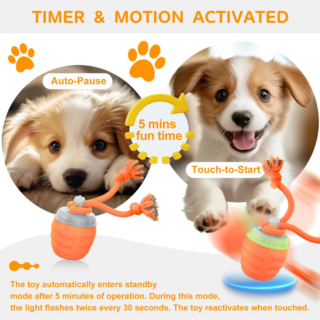 Interactive Dog Toy, [Newly Upgraded] Motion Activated Rolling Squeaky Ball for Medium/Large Dogs, Automatic Moving Dogs Ball for Boredom, USB Rechargeable(Cyan)