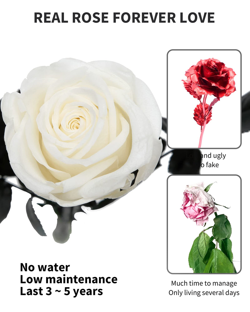 Flowers for Delivery Prime, Preserved Roses Flower Gifts for Women, Real Roses Single Rose Presents for Her, Mom Birthday Gifts from Daughter, Valentines Flowers Red Roses